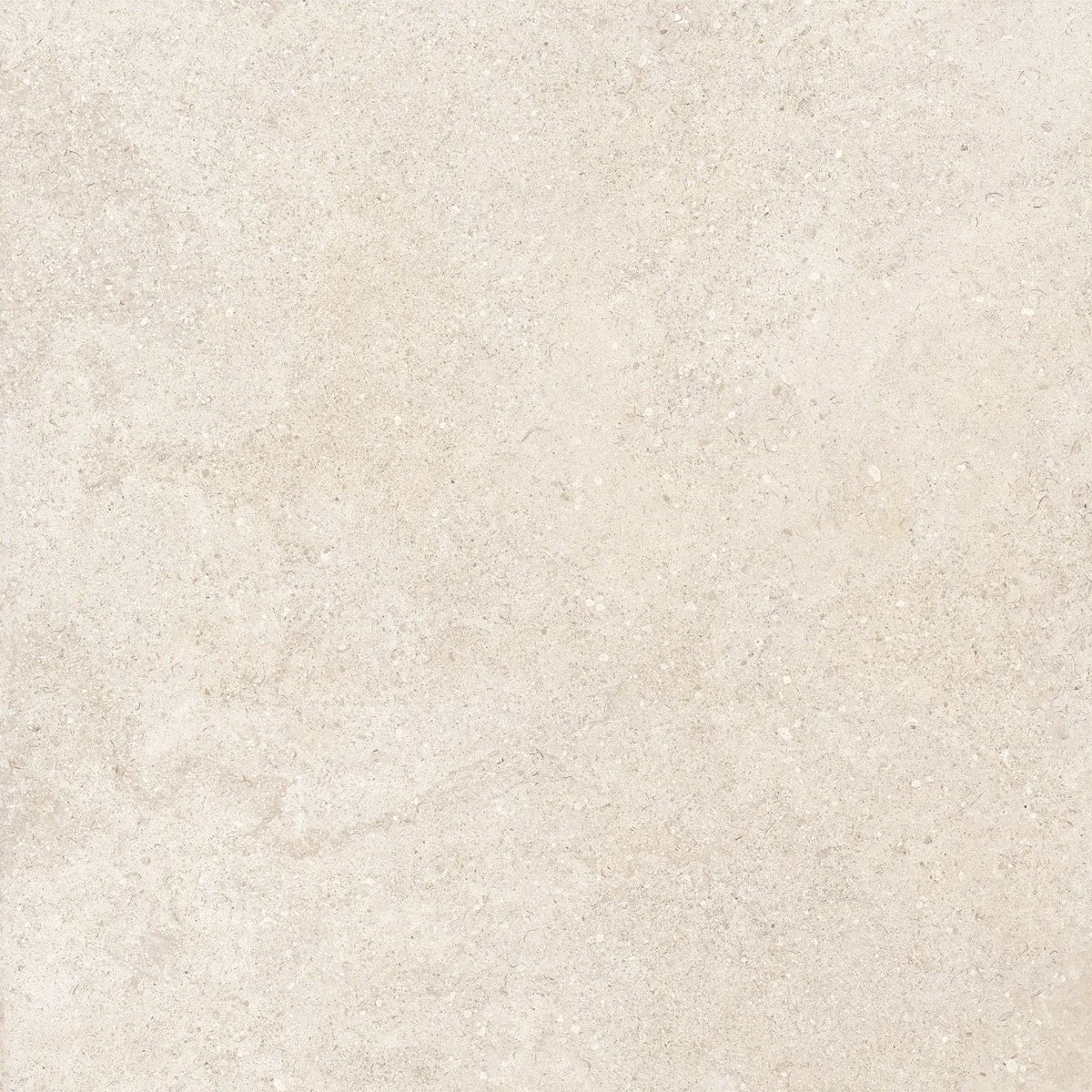 Metropolis Bone In & Out