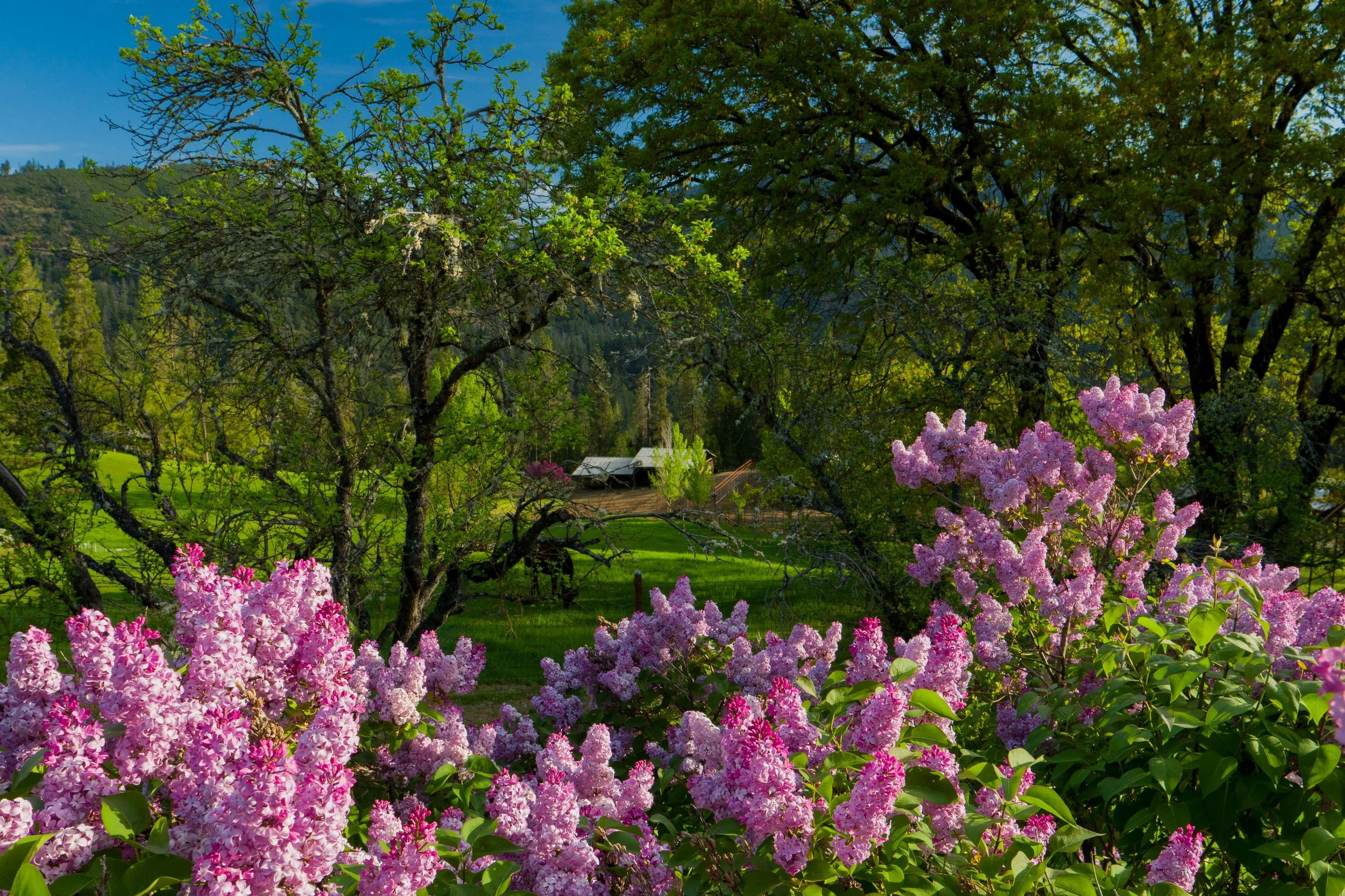 2025: Year In Review 