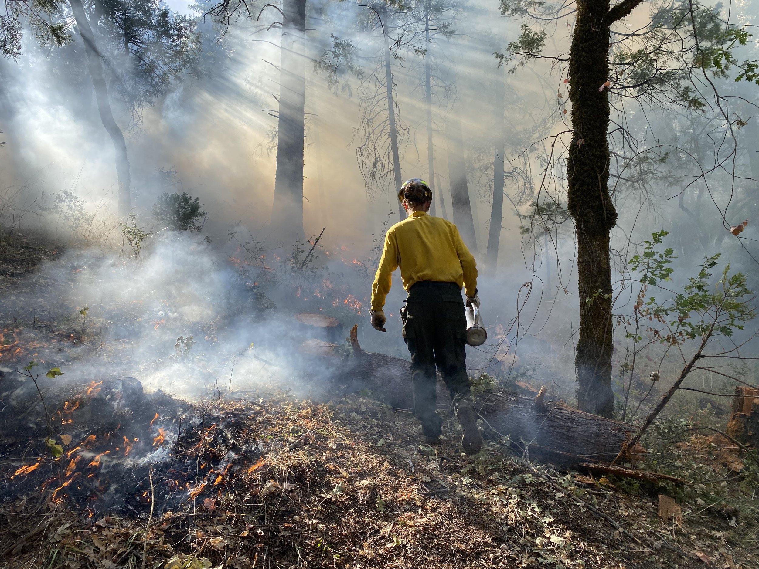 Conservation At Camp: Fire Mitigation &amp; Fuels Management at the Bar 717 Ranch