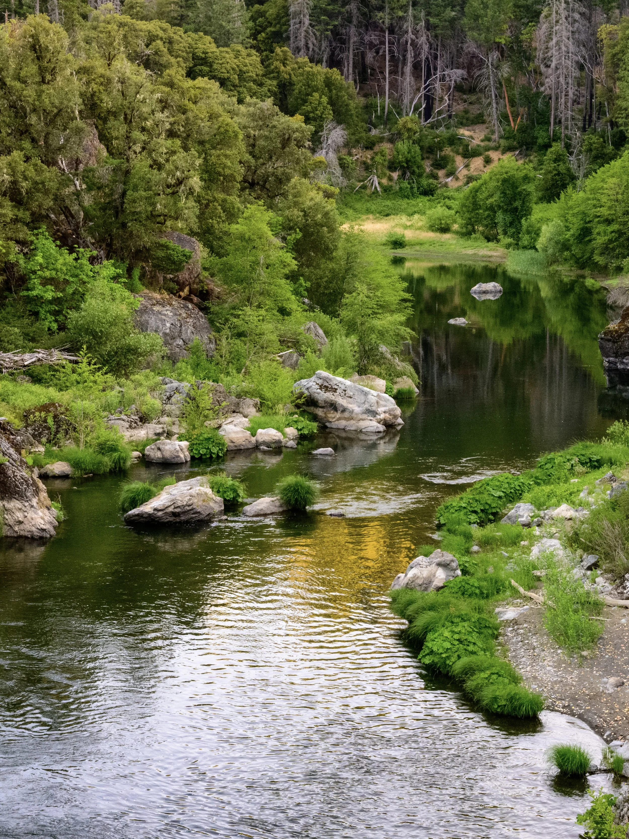 Conservation At Camp: Watershed Health at the Bar 717 Ranch