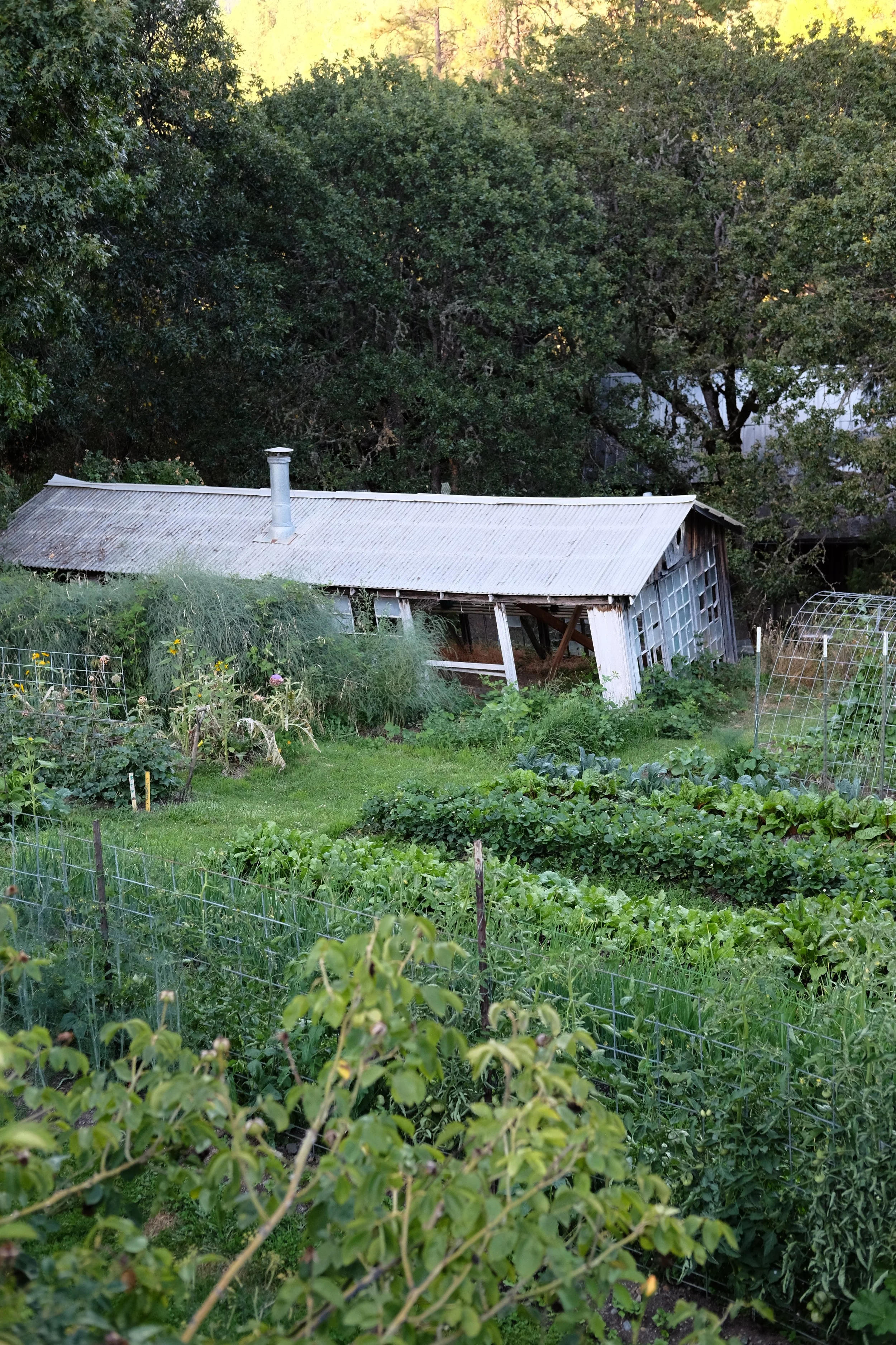 DSCF5355.JPG
