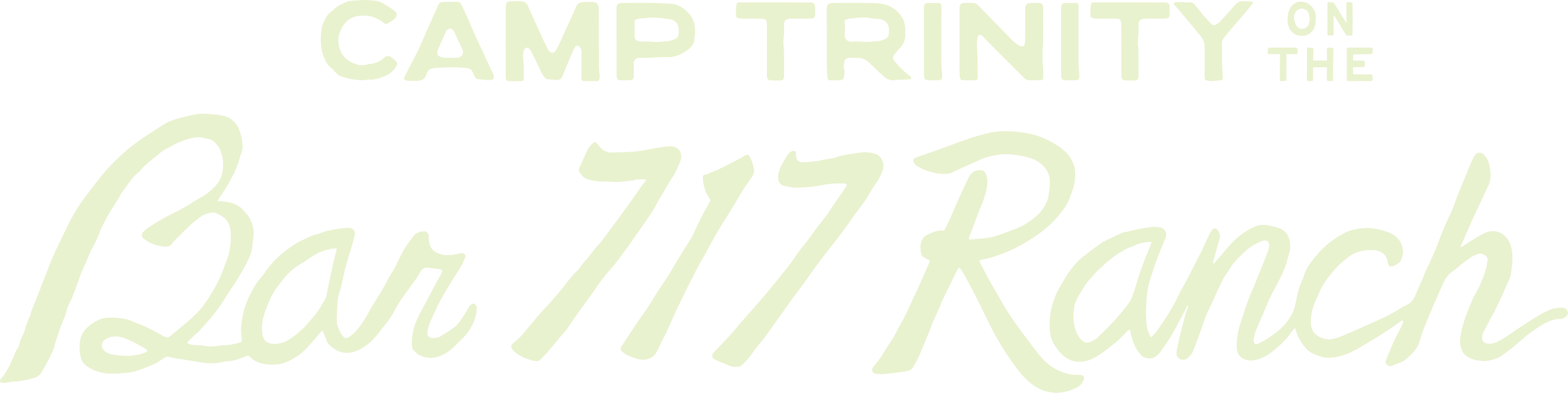 camper bett längs ausziehbar Camper Ausziehbett für Van & Transporter – Tchao Tchao (DE)