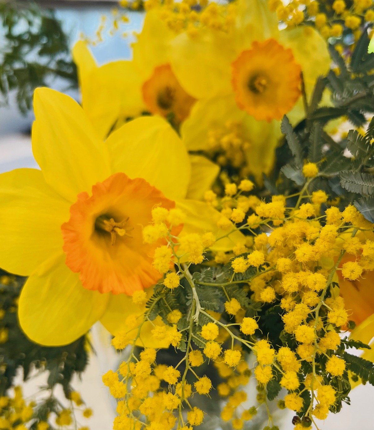 END OF SEASON CLASS or MAKEUP CLASS - WINTER