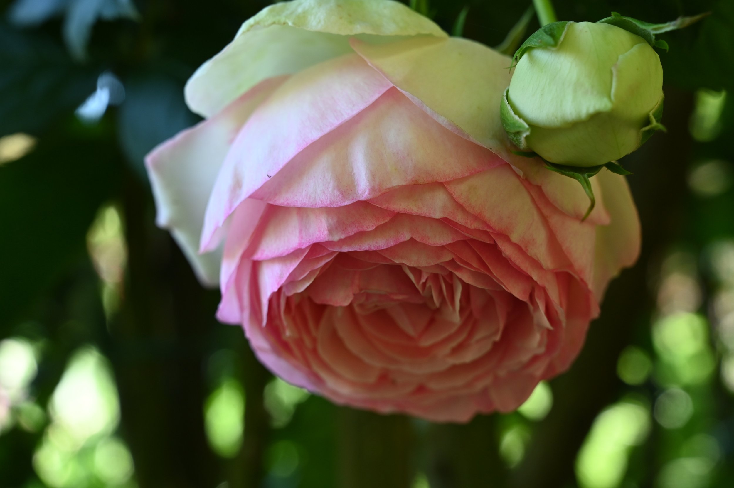 Autumn Classes Start TBA