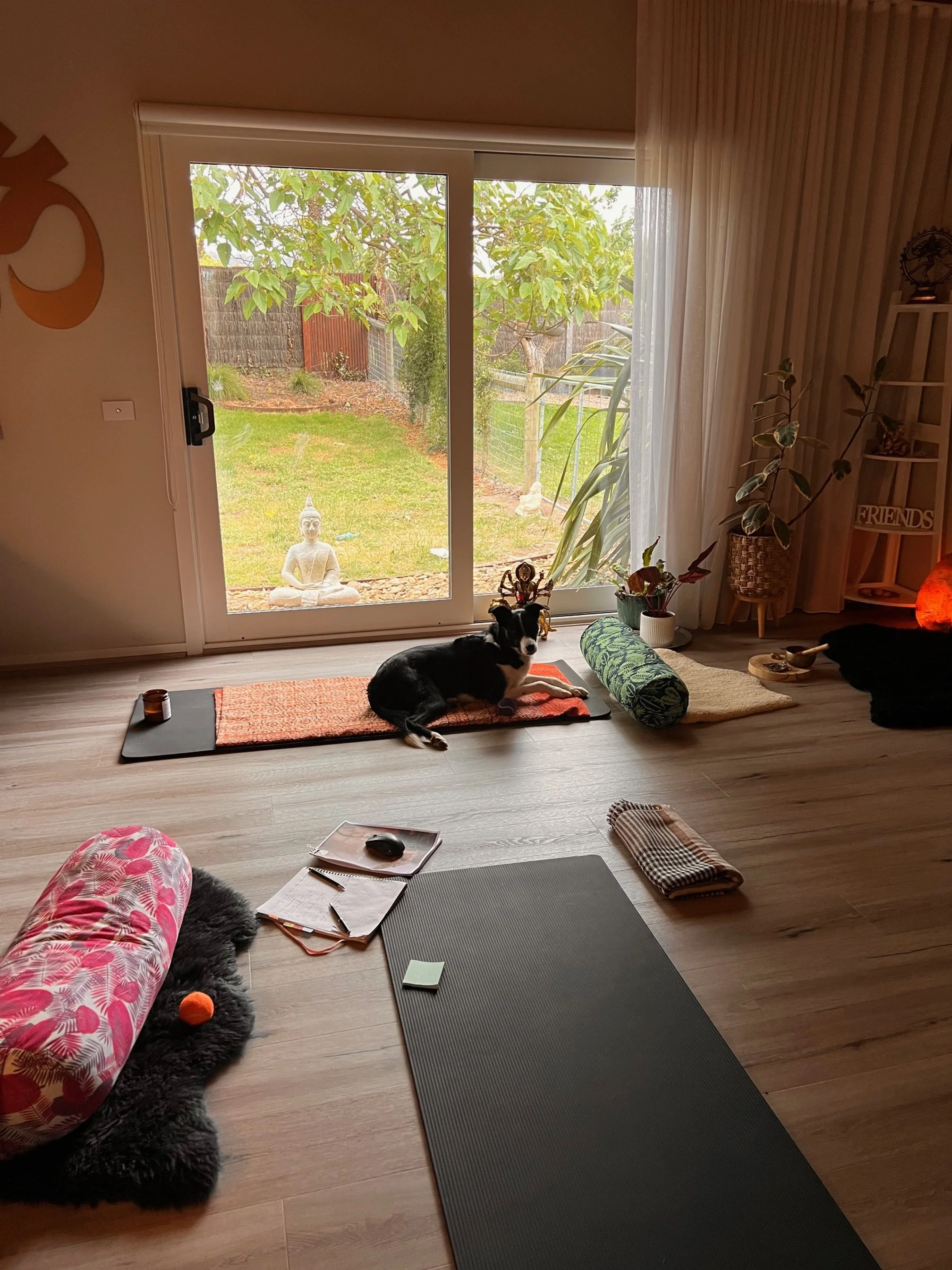Living room with yoga mats, a dog lying on one mat, a sliding glass door with a garden view, and various decorative plants and items inside.