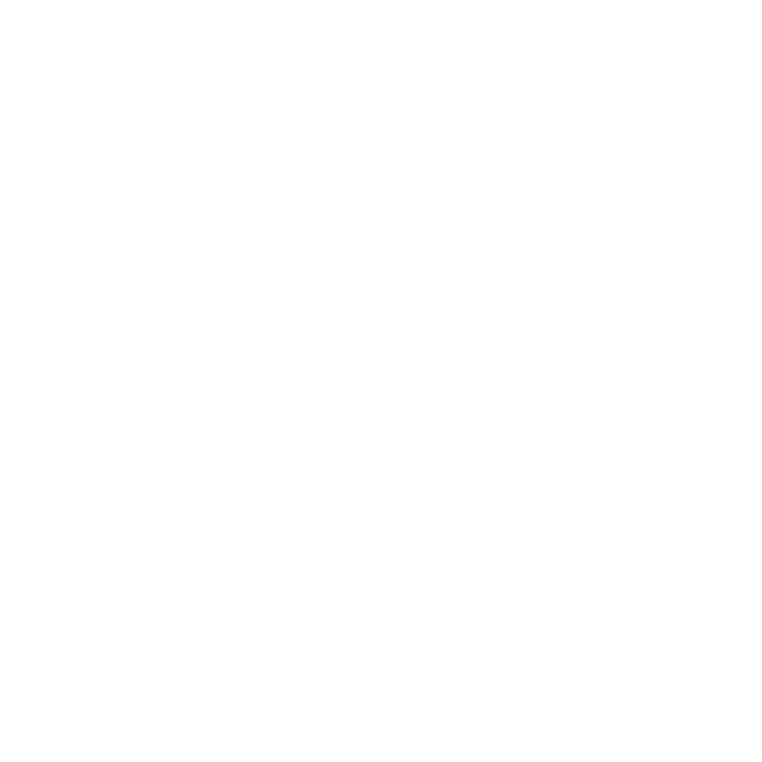 Lightning icon with a check mark representing businesses that are interested in executing.