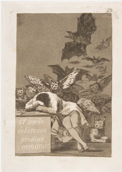 The Sleep of Reason