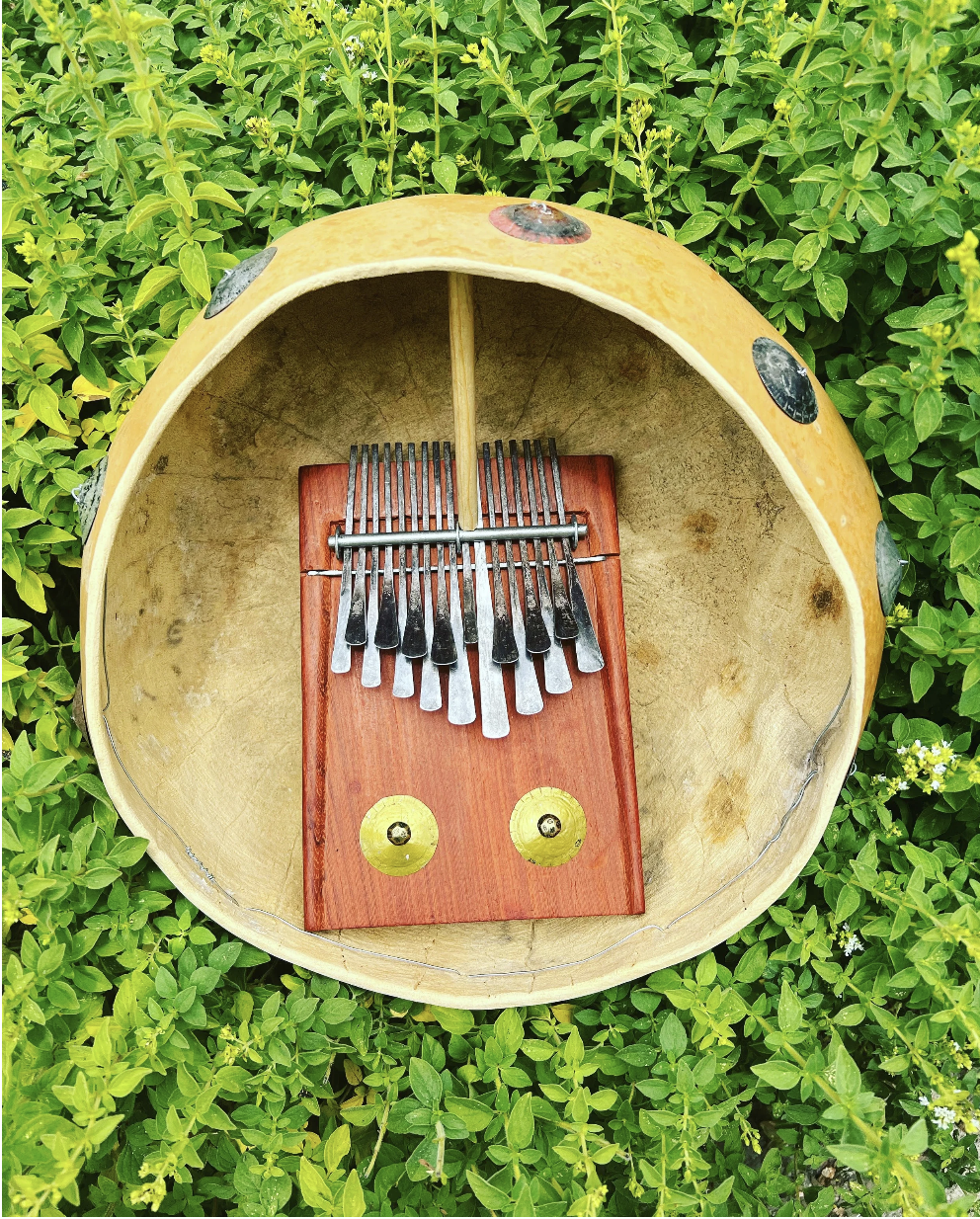 Screenshot 2026-02-11 at 10.36.01 AM.png (Copy)