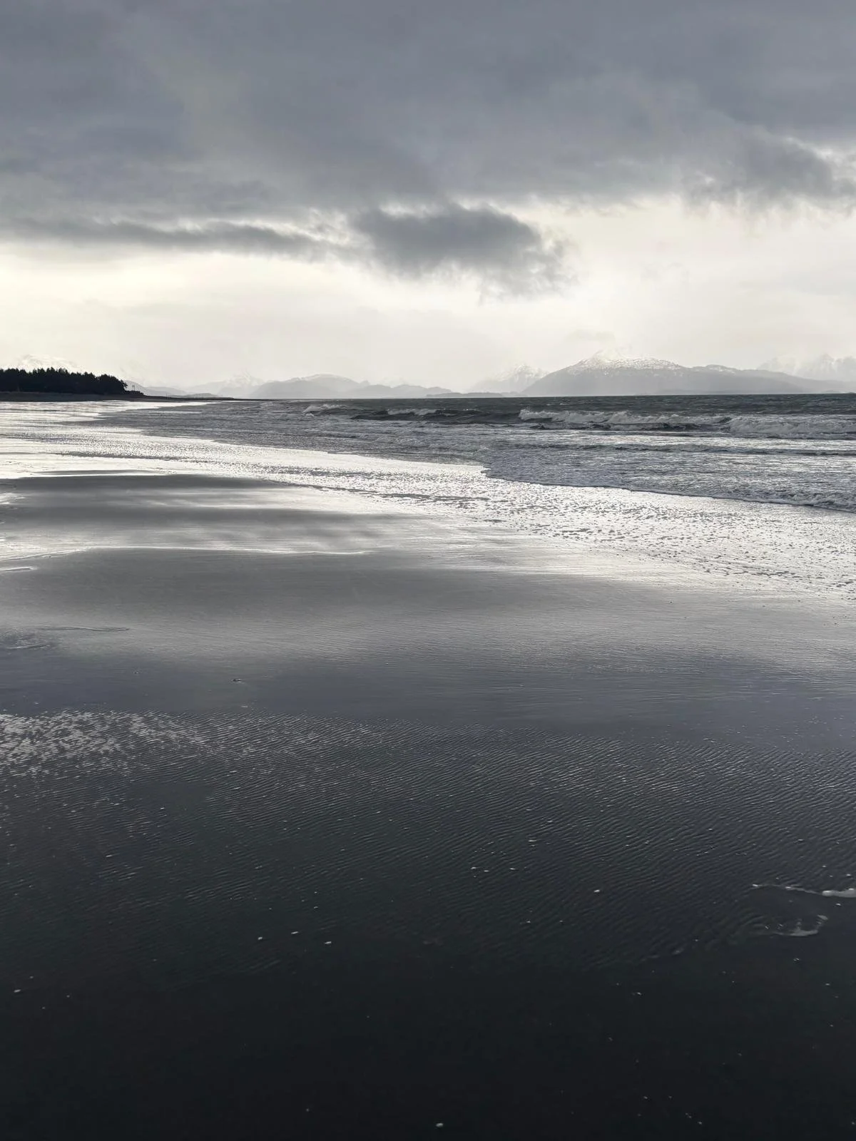 WhatsApp Image 2025-01-25 at 23.14.07_c19a57ee.jpg