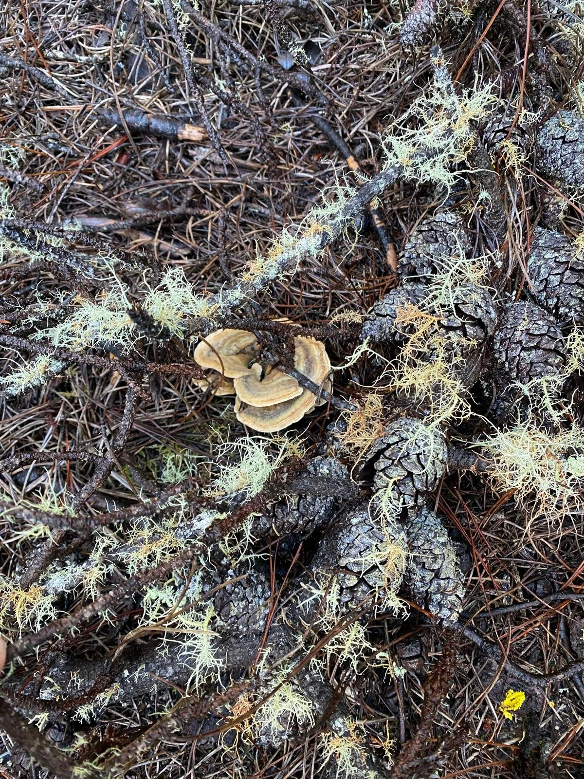 WhatsApp Image 2025-04-07 at 20.17.15_a942ab33.jpg