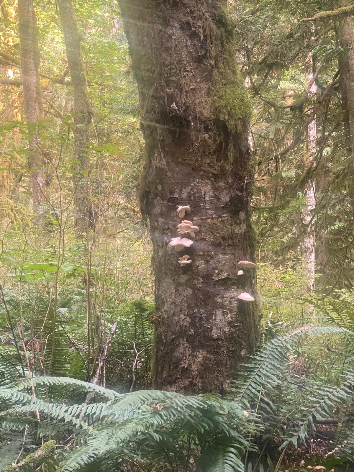 WhatsApp Image 2025-04-07 at 20.18.06_22647aff.jpg