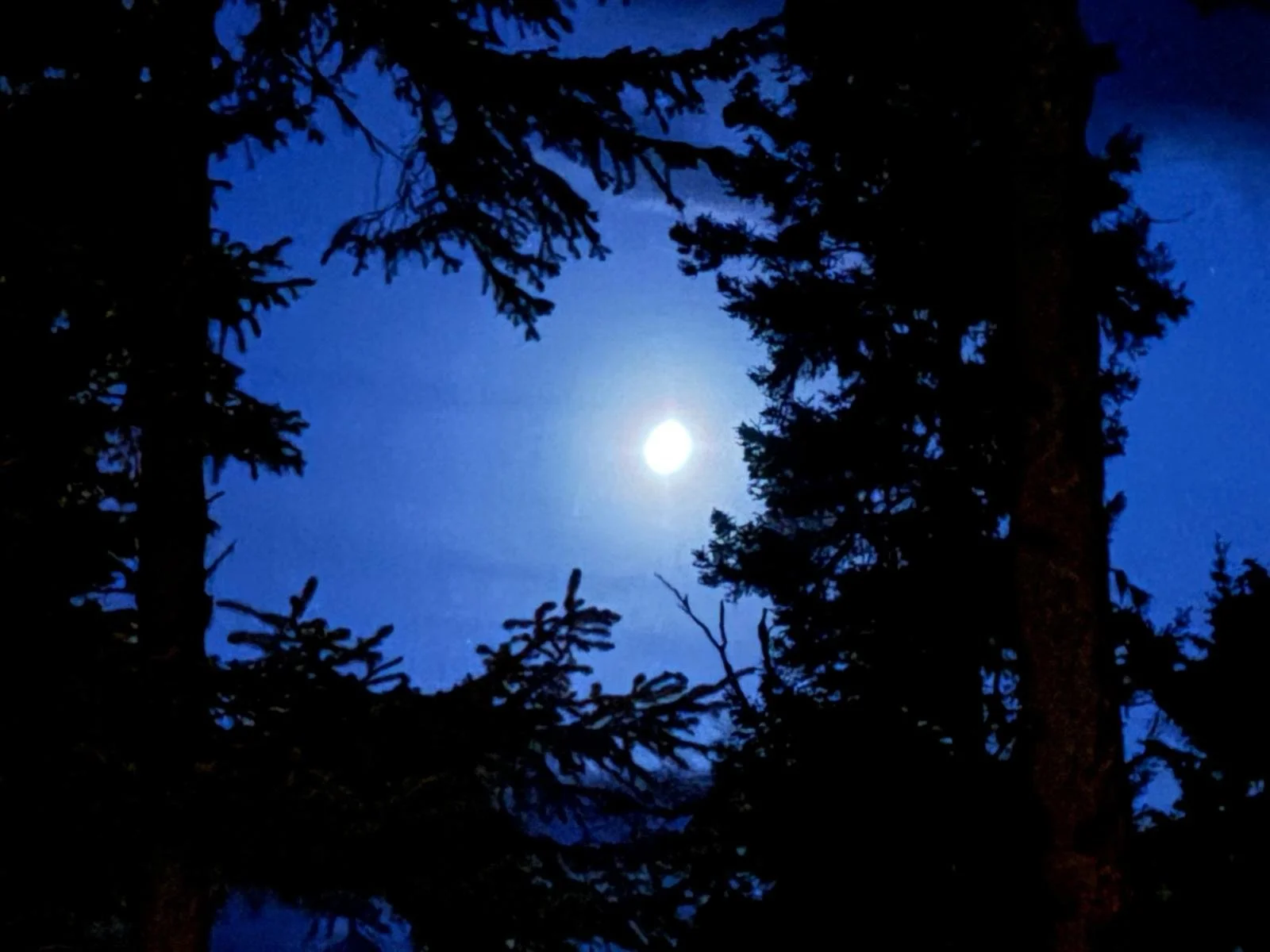 luna.jpg