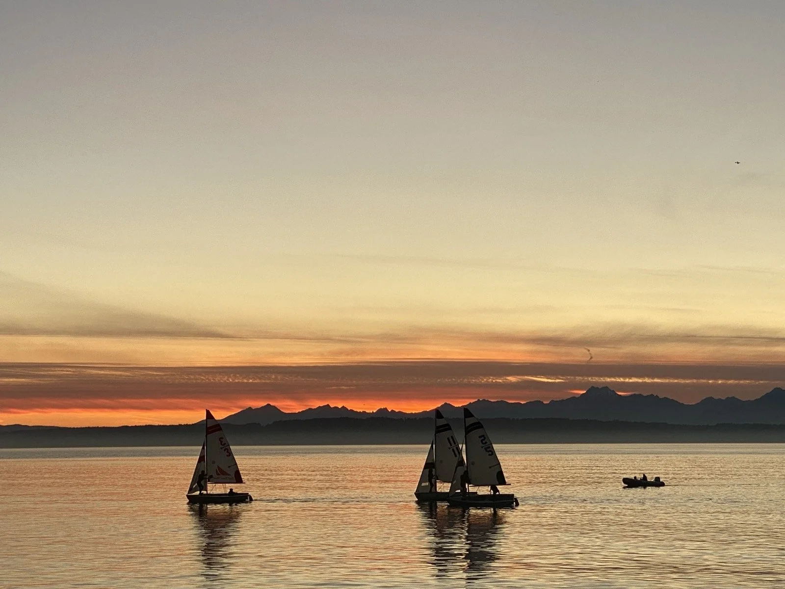 golden gardens.jpg