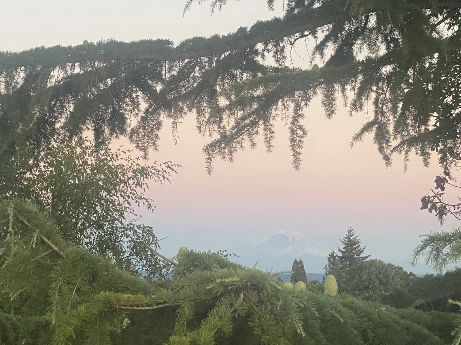 Rainier