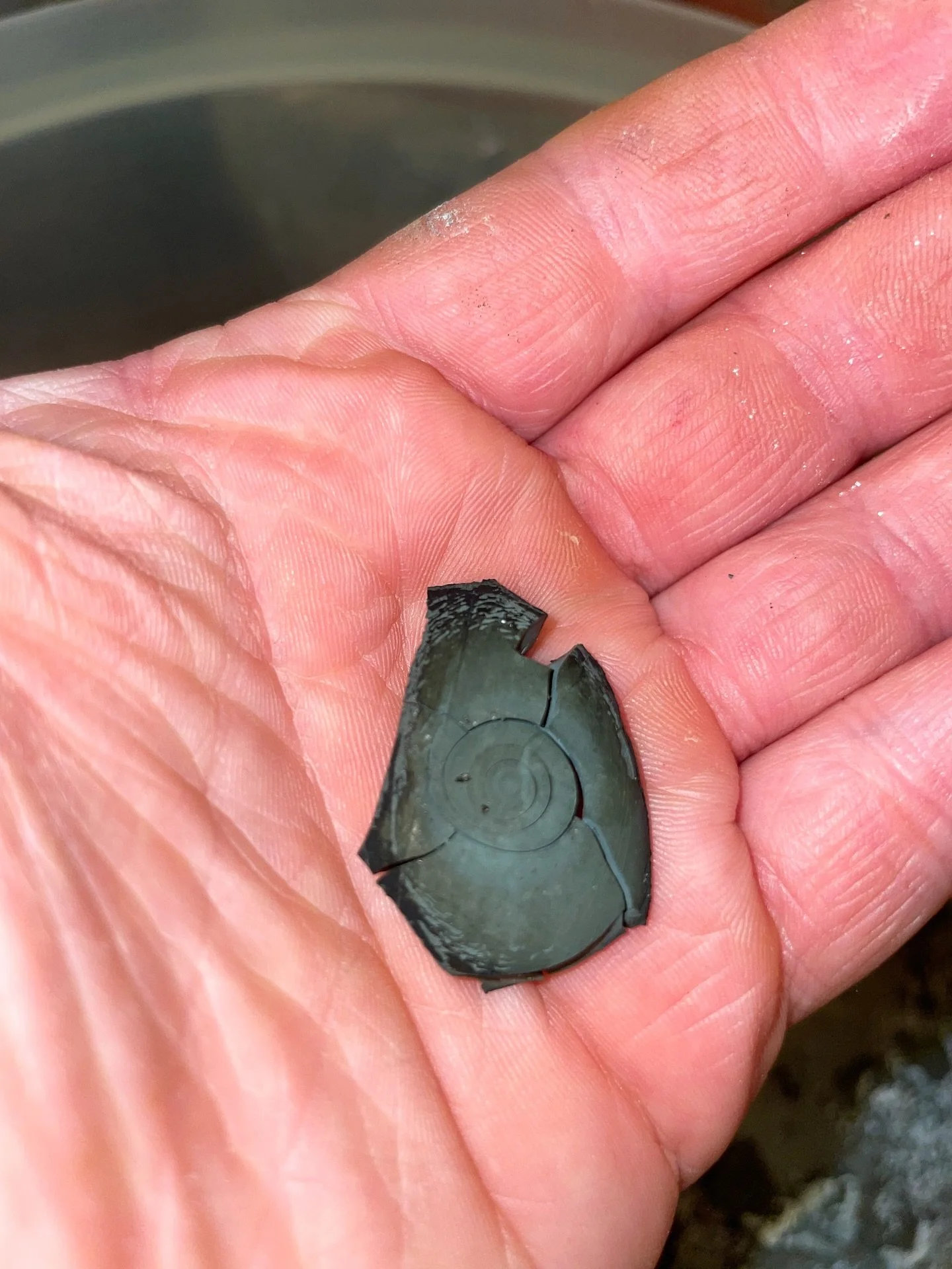 Does anyone know why/ how my goldenrod + iron pigment dried in these spirals?

I&rsquo;ve been admiring this detail for a while now. But not sure why/ how it happened. 

Please let me know if you know what&rsquo;s happening here 🌀🌼🪲

#naturaldyes 