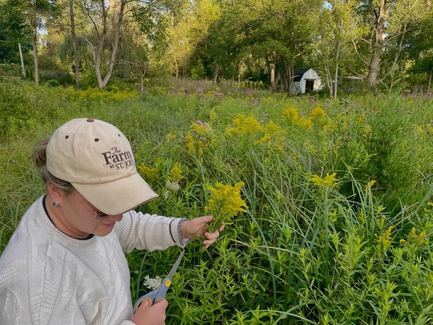 ✨just around the corner ✨

#naturaldye #themichigandyer #dyegarden