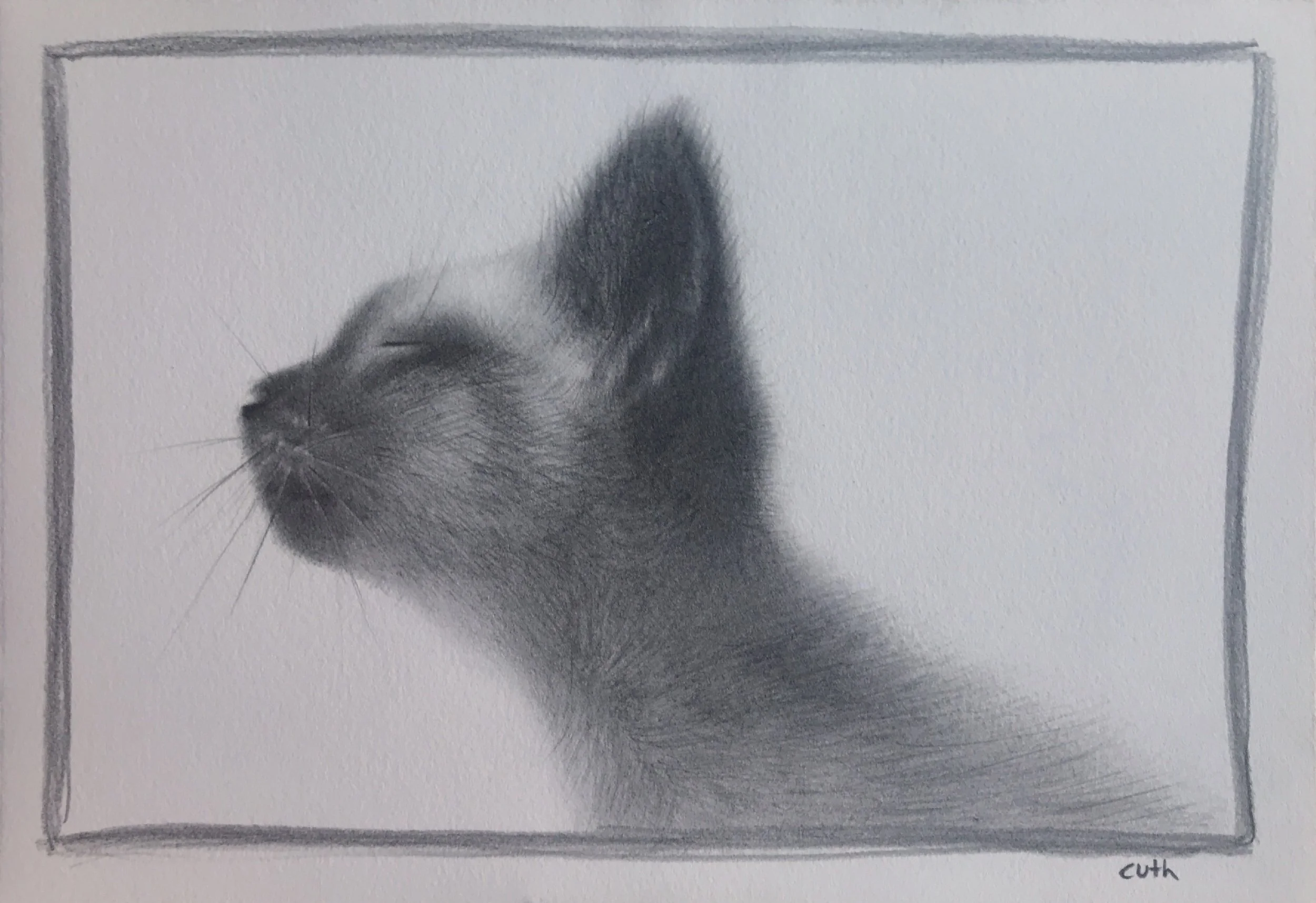 Little Snidling