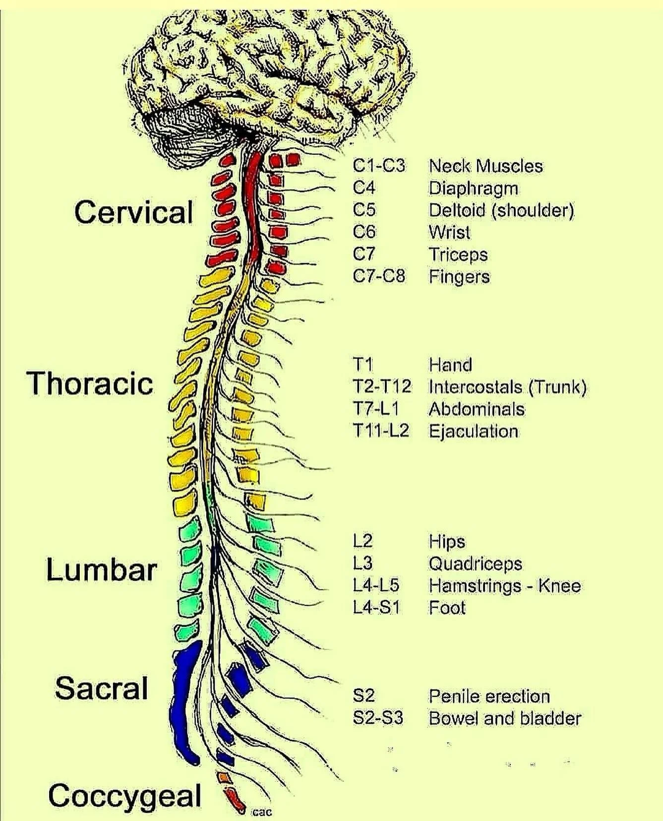 #EMSCoach
#EMSCoach1
#EMSLife
#EMT
#Paramedic
#EMR
#FirstResponder
#PreHospitalCare
#SavingLives
#MedicMindset
#EMSStrong
#AmbulanceLife
#FieldMedicine