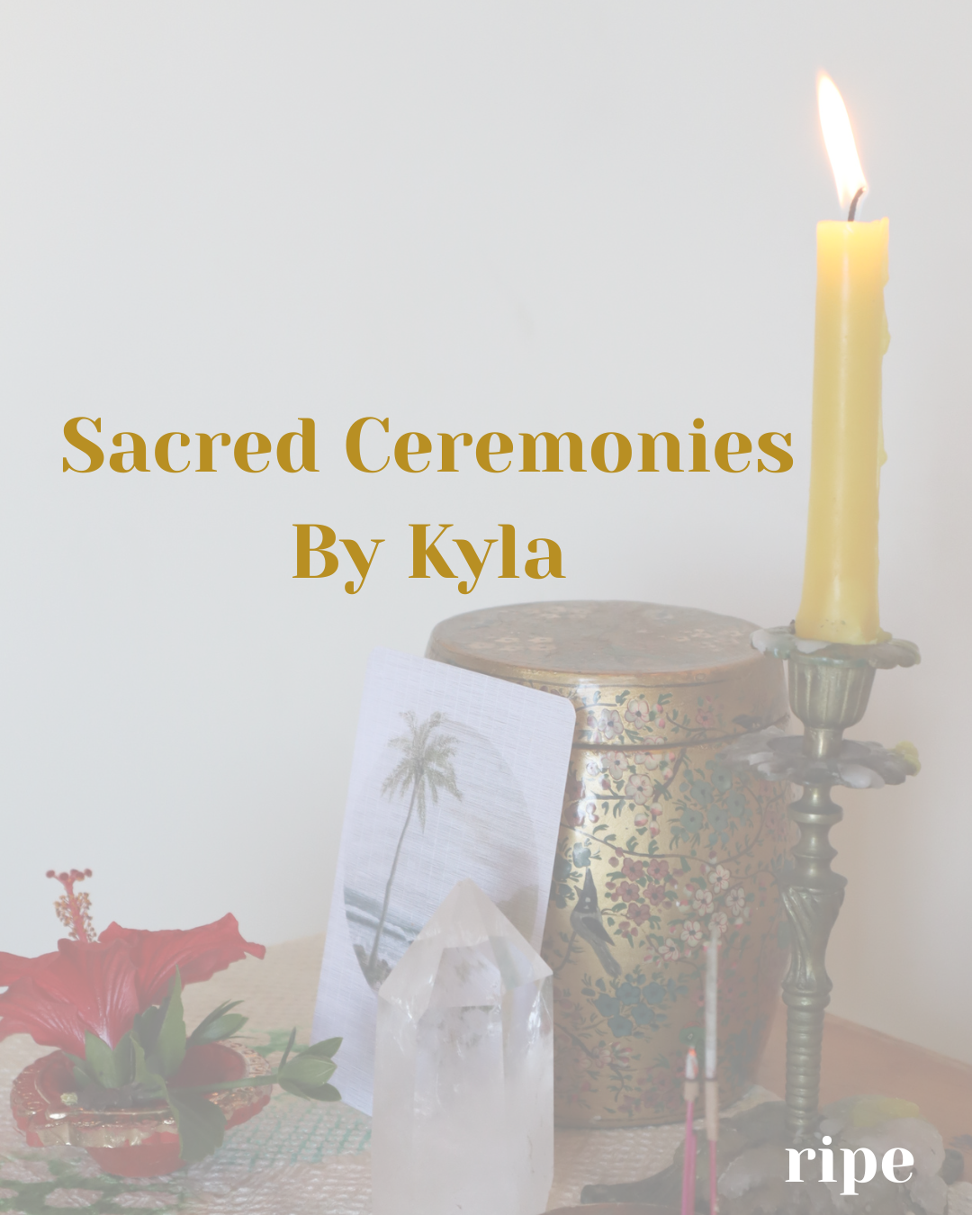 why would i book in a Ceremony  (3).png