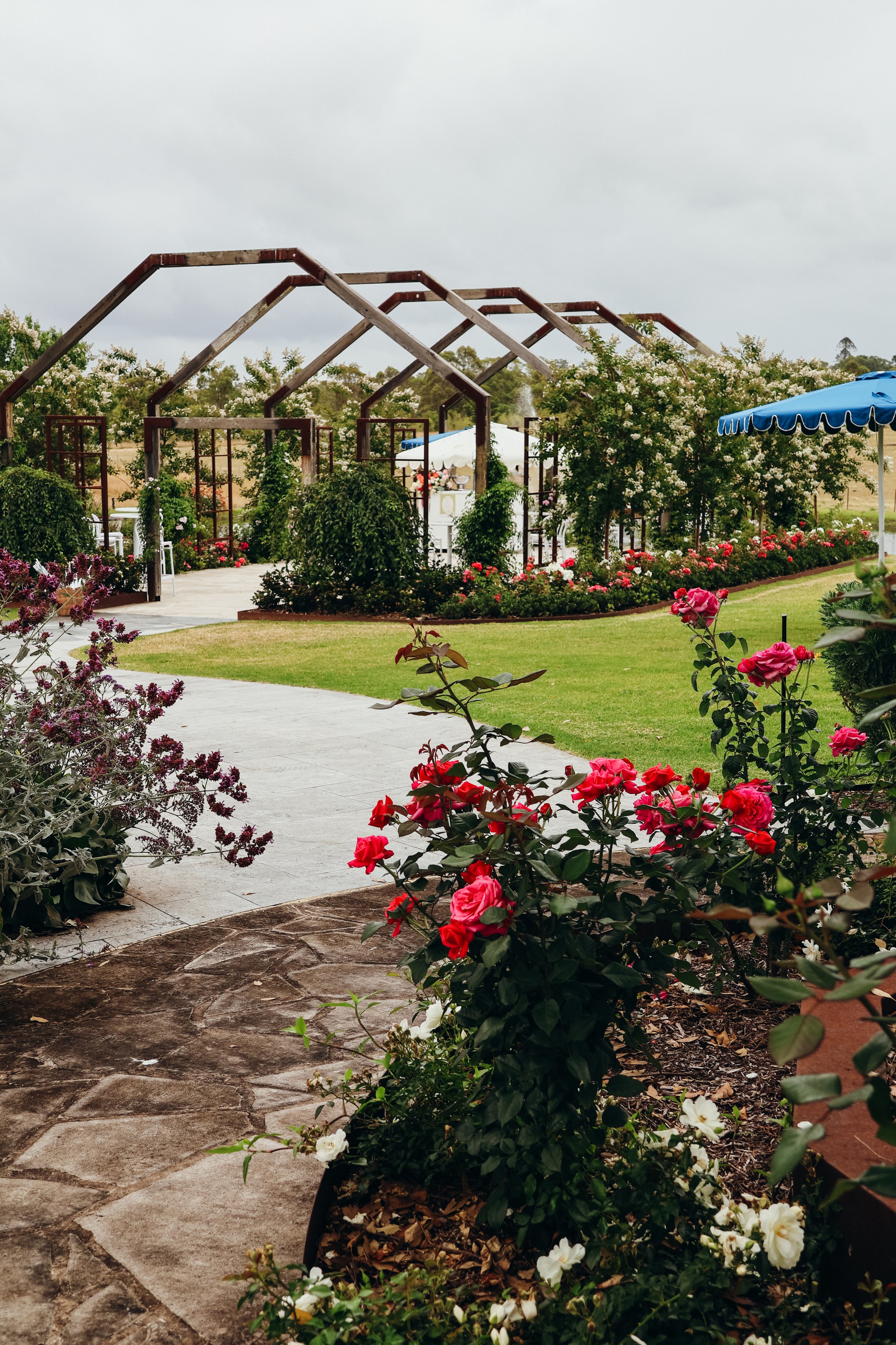 A garden with a stone walkway, blooming roses, and shrubbery leading to a wooden trellis structure with white flowers, under a cloudy sky.