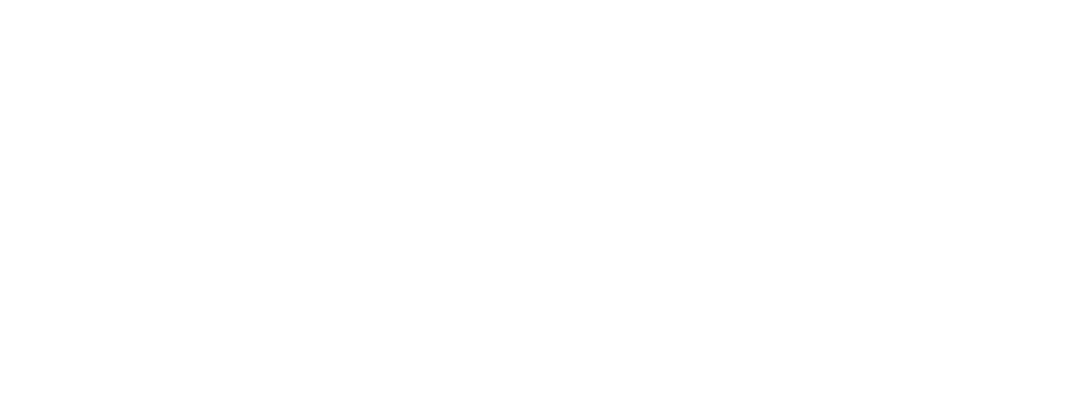 Innovative Public Advisors