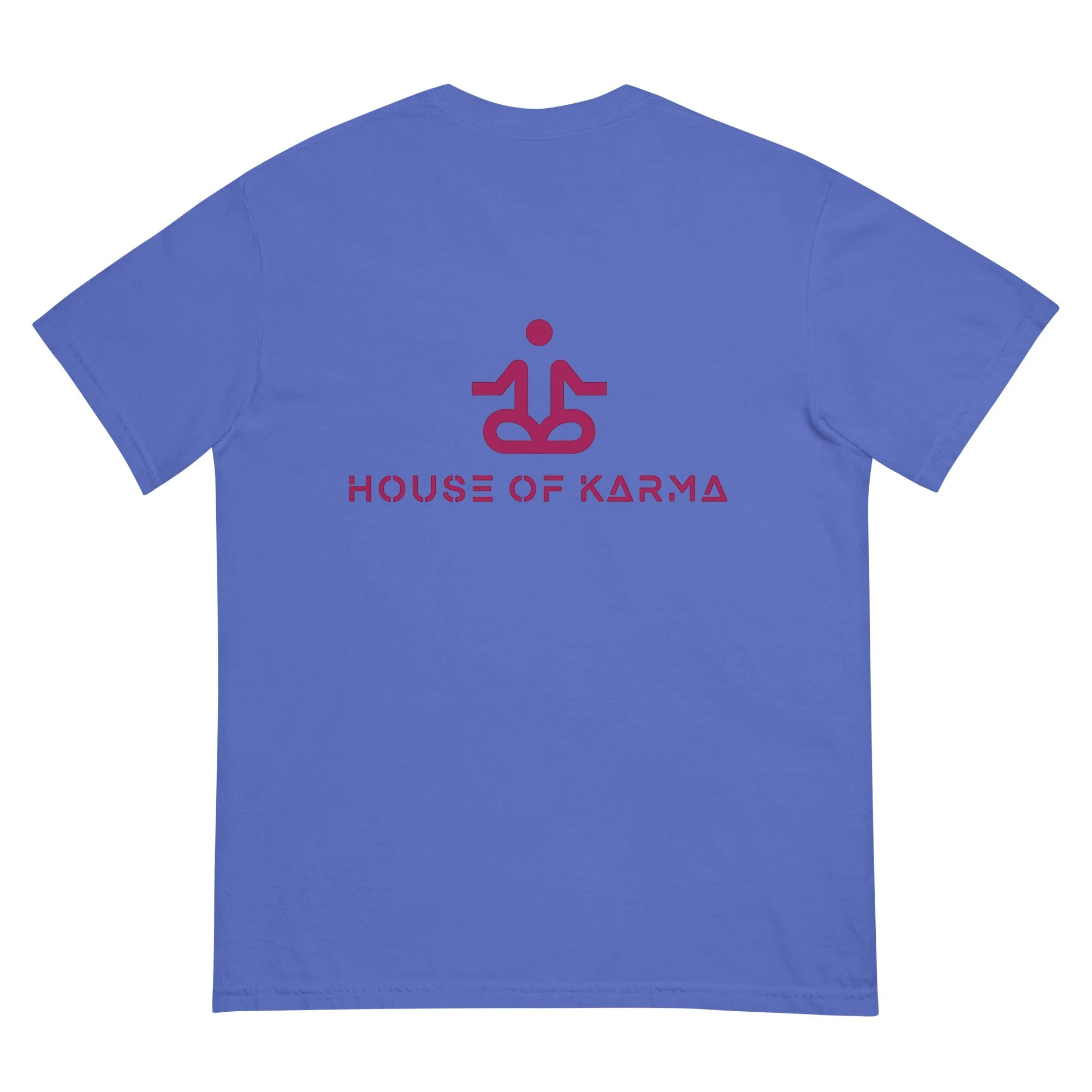 unisex-garment-dyed-heavyweight-t-shirt-flo-blue-back-6789dd7d5006e.jpg