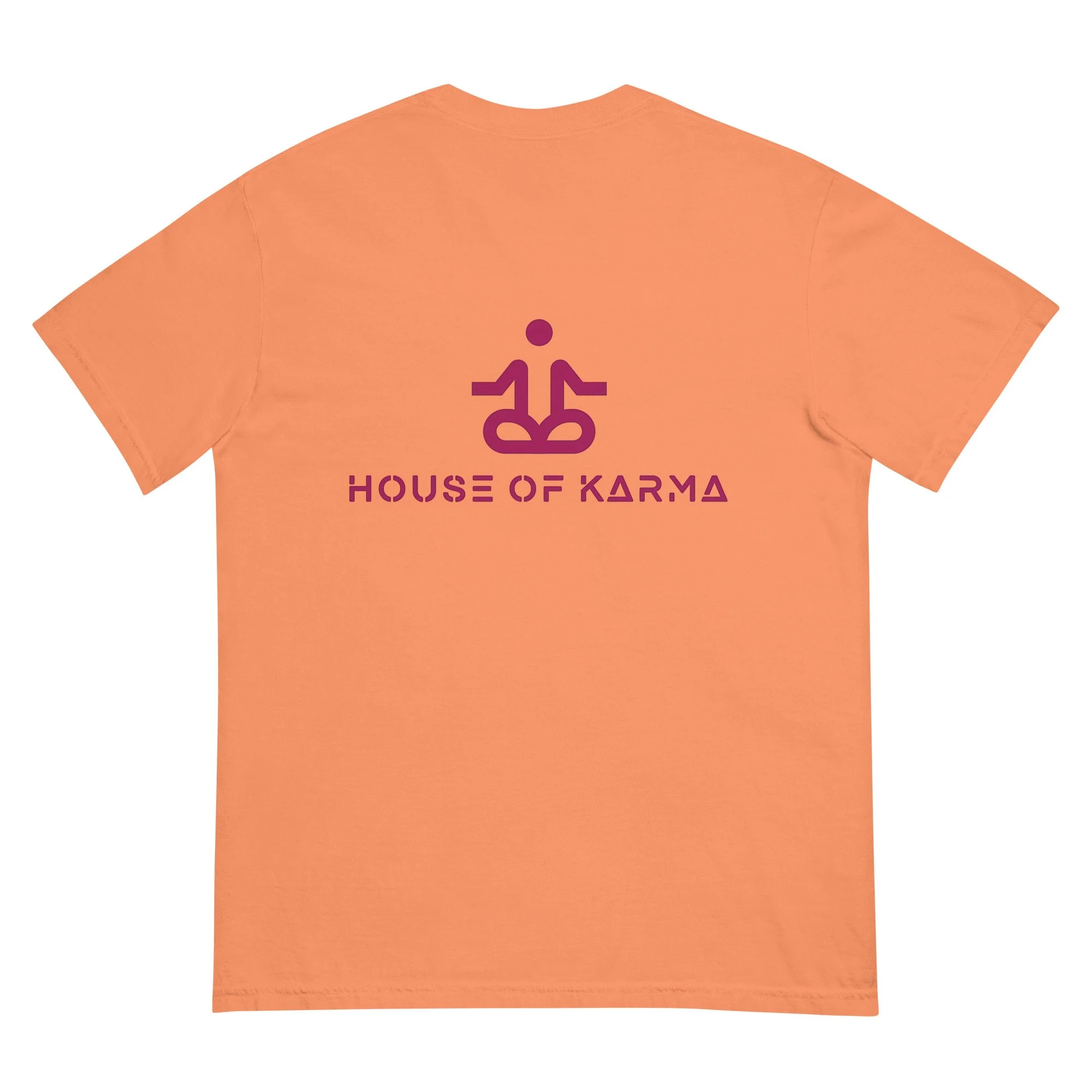 unisex-garment-dyed-heavyweight-t-shirt-terracotta-back-6789dd7d7cad4.jpg