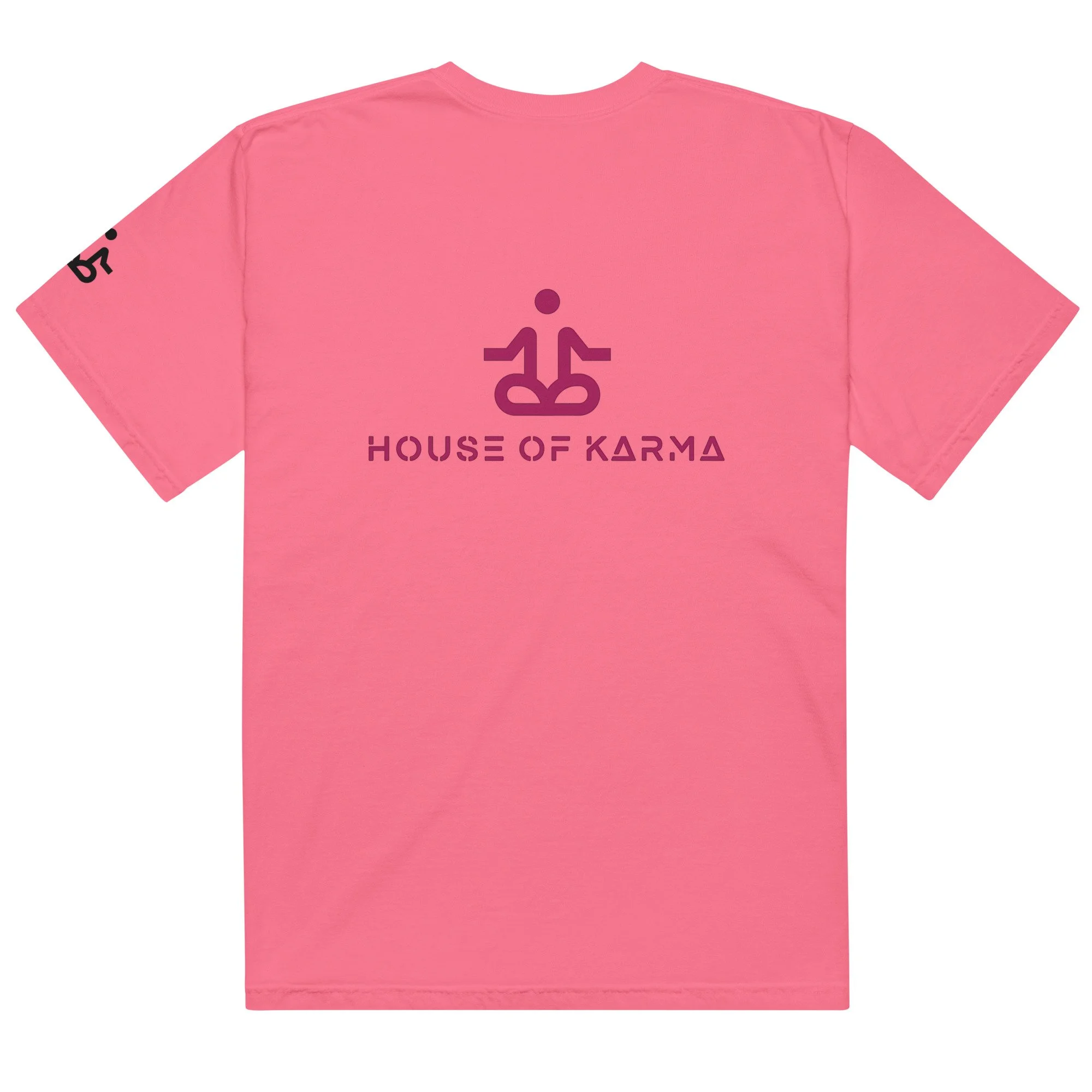 unisex-garment-dyed-heavyweight-t-shirt-crunchberry-back-6789dedb31c71.jpg