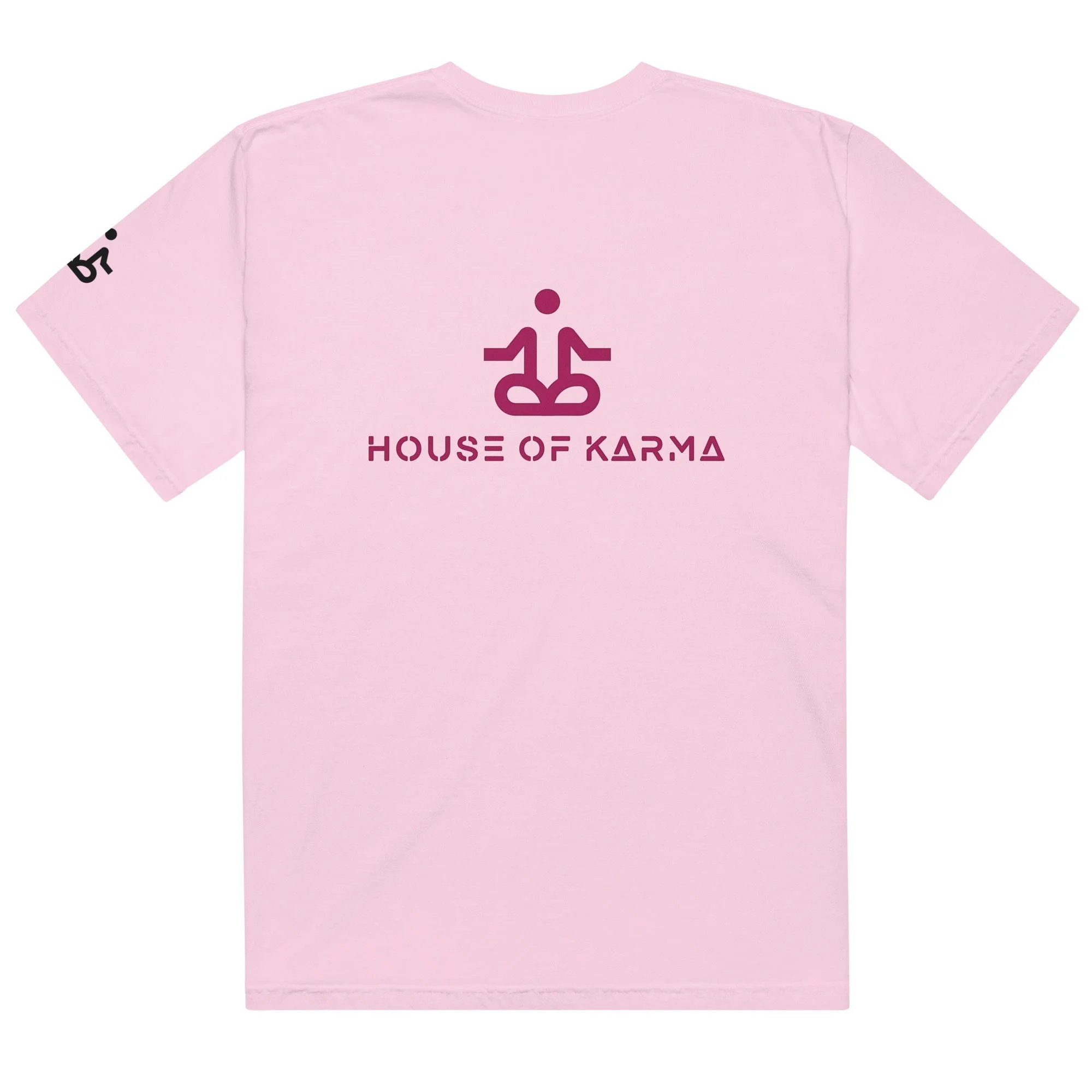 unisex-garment-dyed-heavyweight-t-shirt-orchid-back-6789dedb6d643.jpg