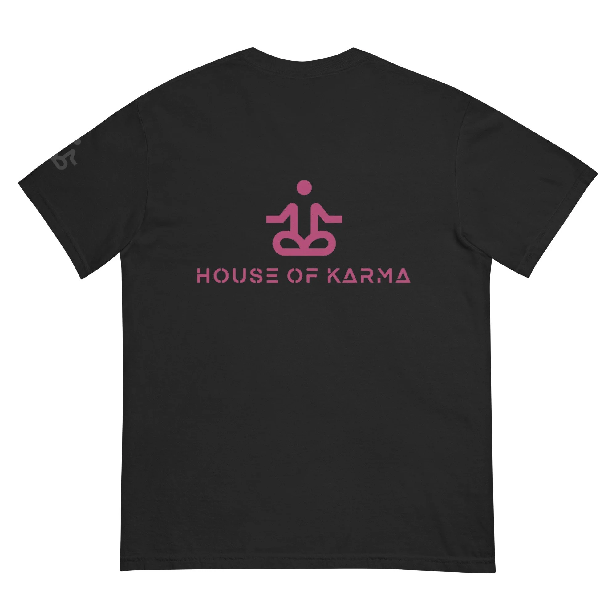 unisex-garment-dyed-heavyweight-t-shirt-black-back-6789dedb96583.jpg