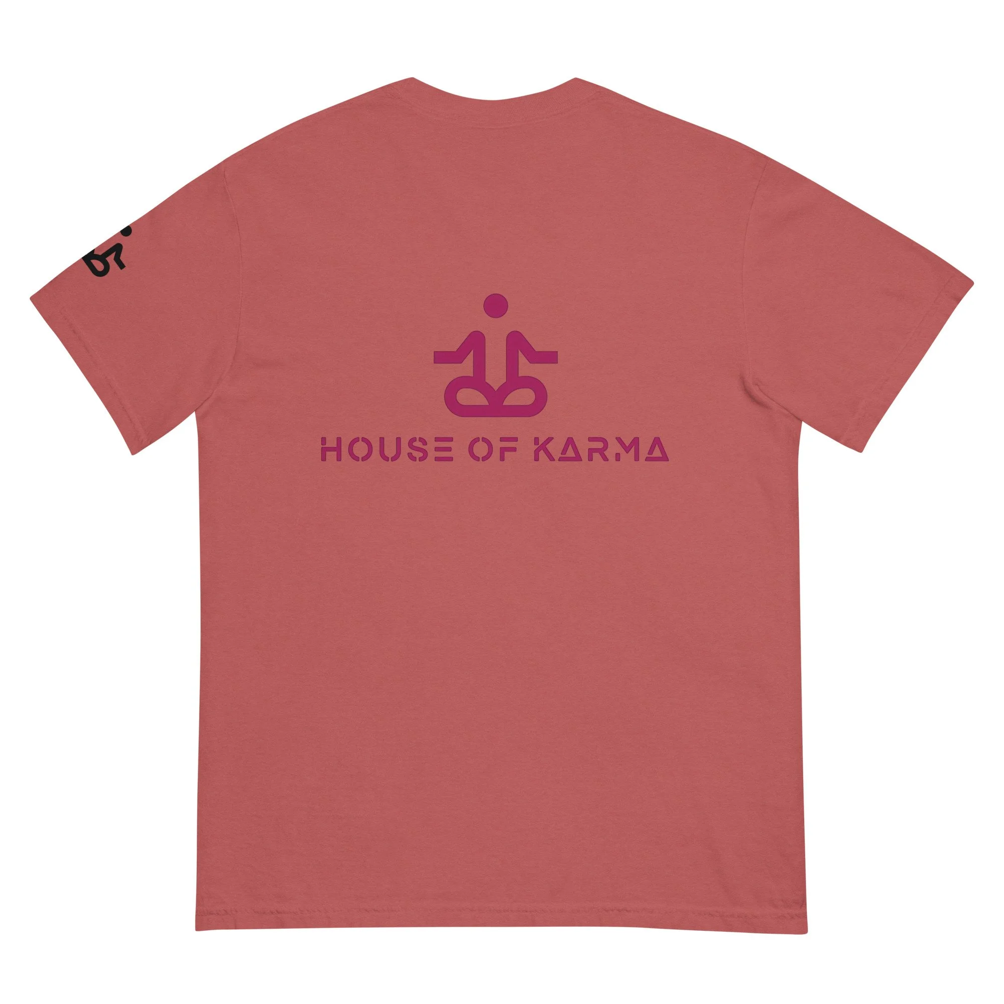 unisex-garment-dyed-heavyweight-t-shirt-crimson-back-6789dedb9f1c0.jpg