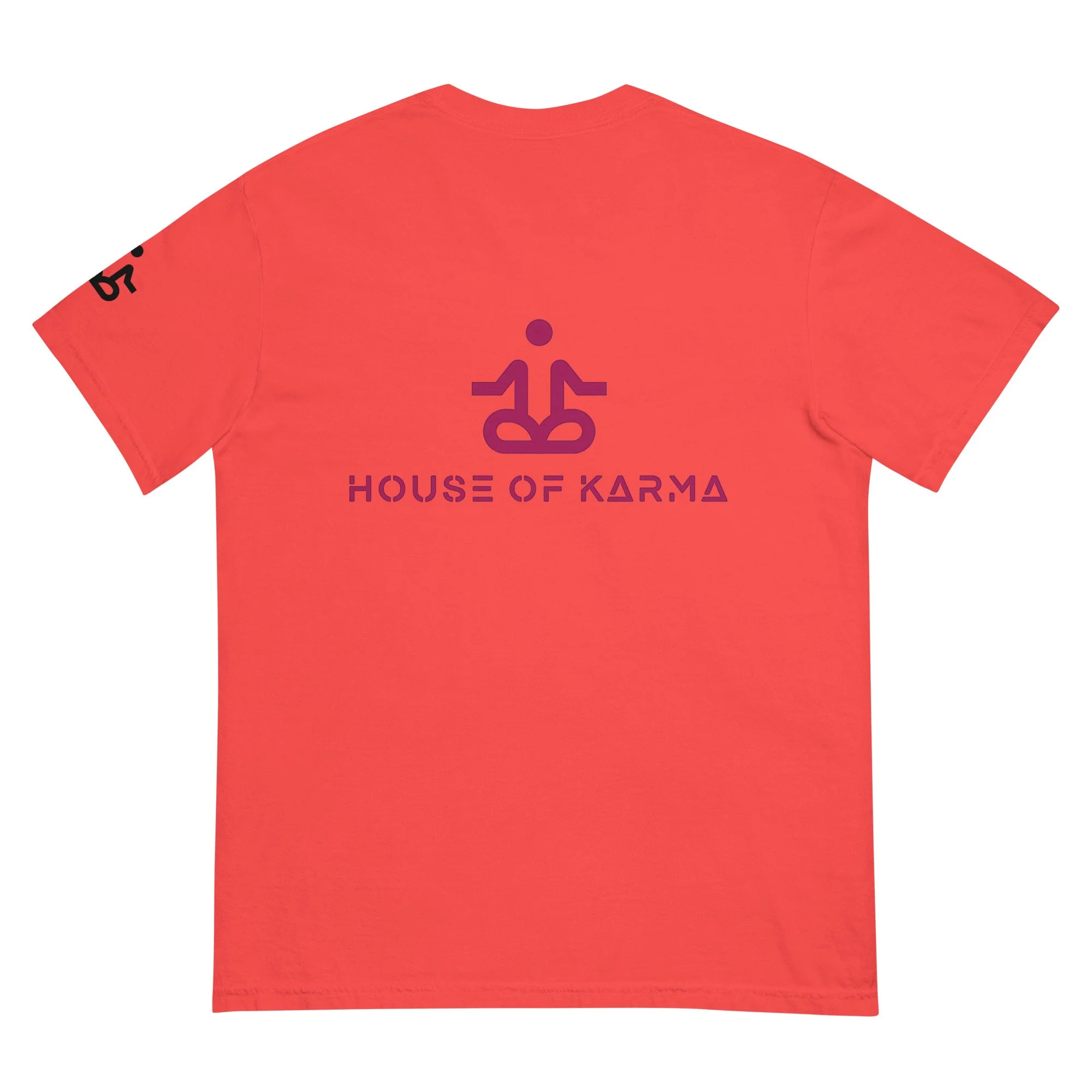 unisex-garment-dyed-heavyweight-t-shirt-paprika-back-6789dedba486d.jpg