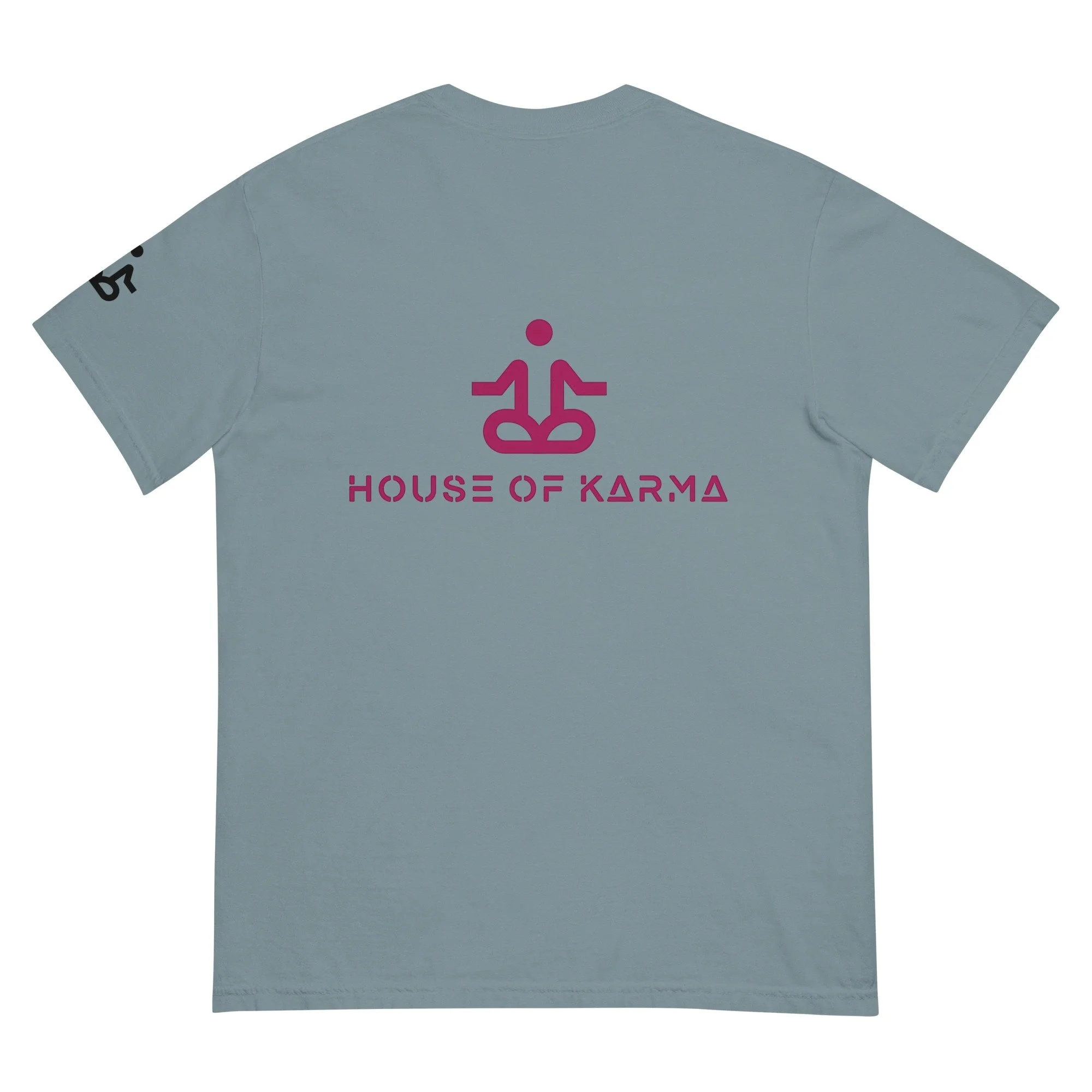 unisex-garment-dyed-heavyweight-t-shirt-ice-blue-back-6789dedbb3759.jpg