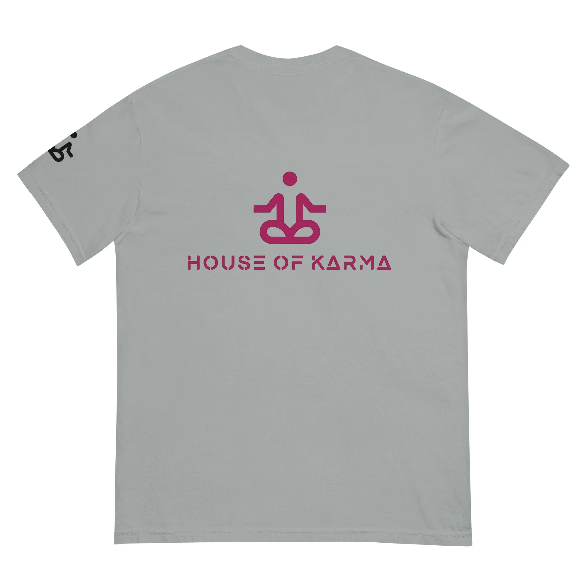 unisex-garment-dyed-heavyweight-t-shirt-granite-back-6789dedbc9026.jpg