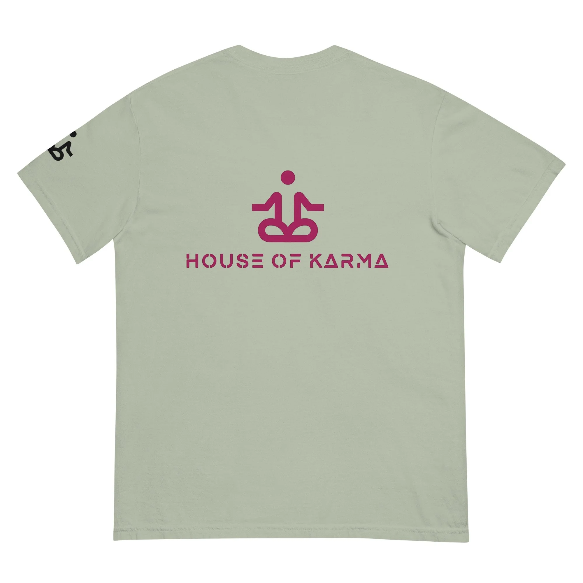 unisex-garment-dyed-heavyweight-t-shirt-bay-back-6789dedbd409c.jpg