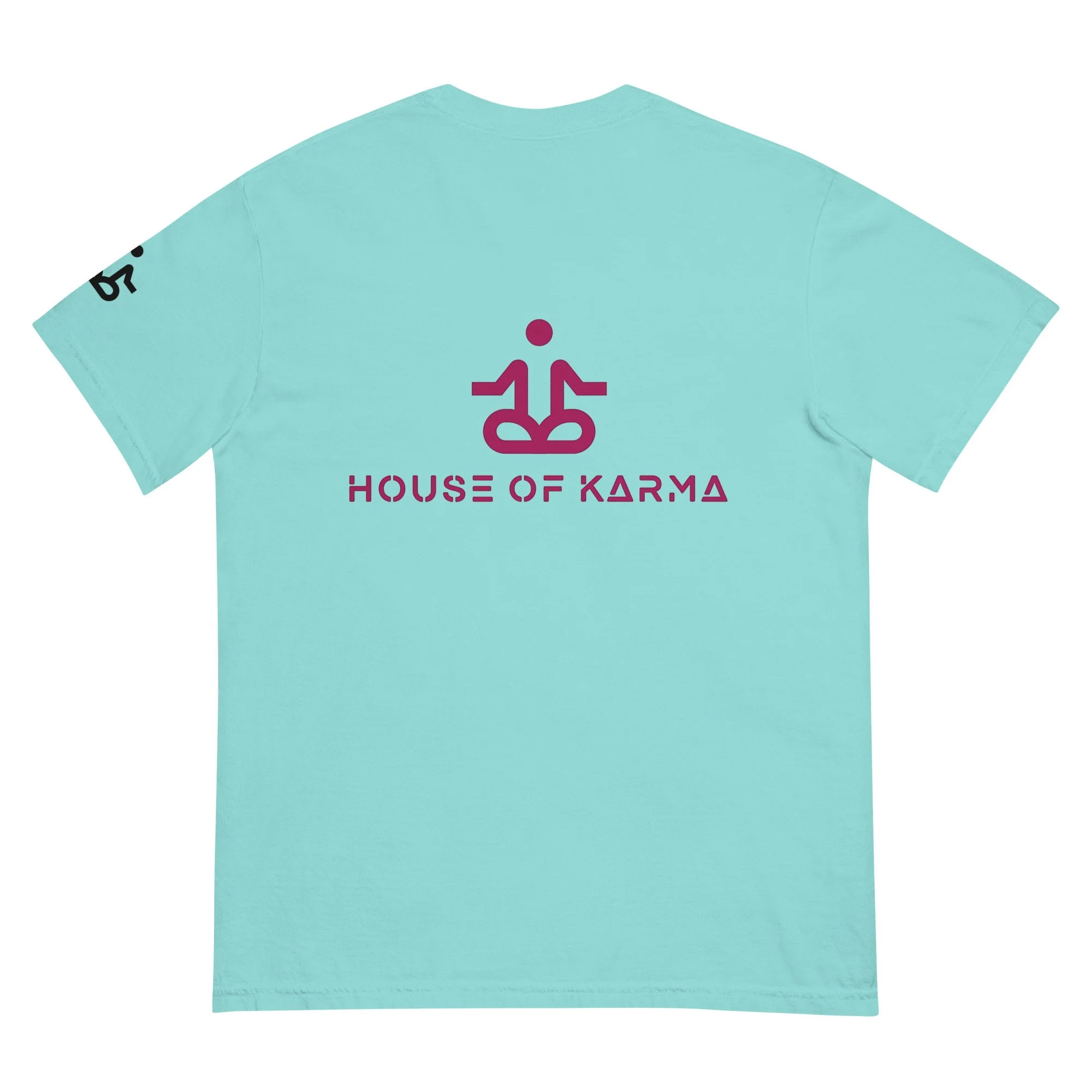 unisex-garment-dyed-heavyweight-t-shirt-lagoon-blue-back-6789dedbe1f73.jpg