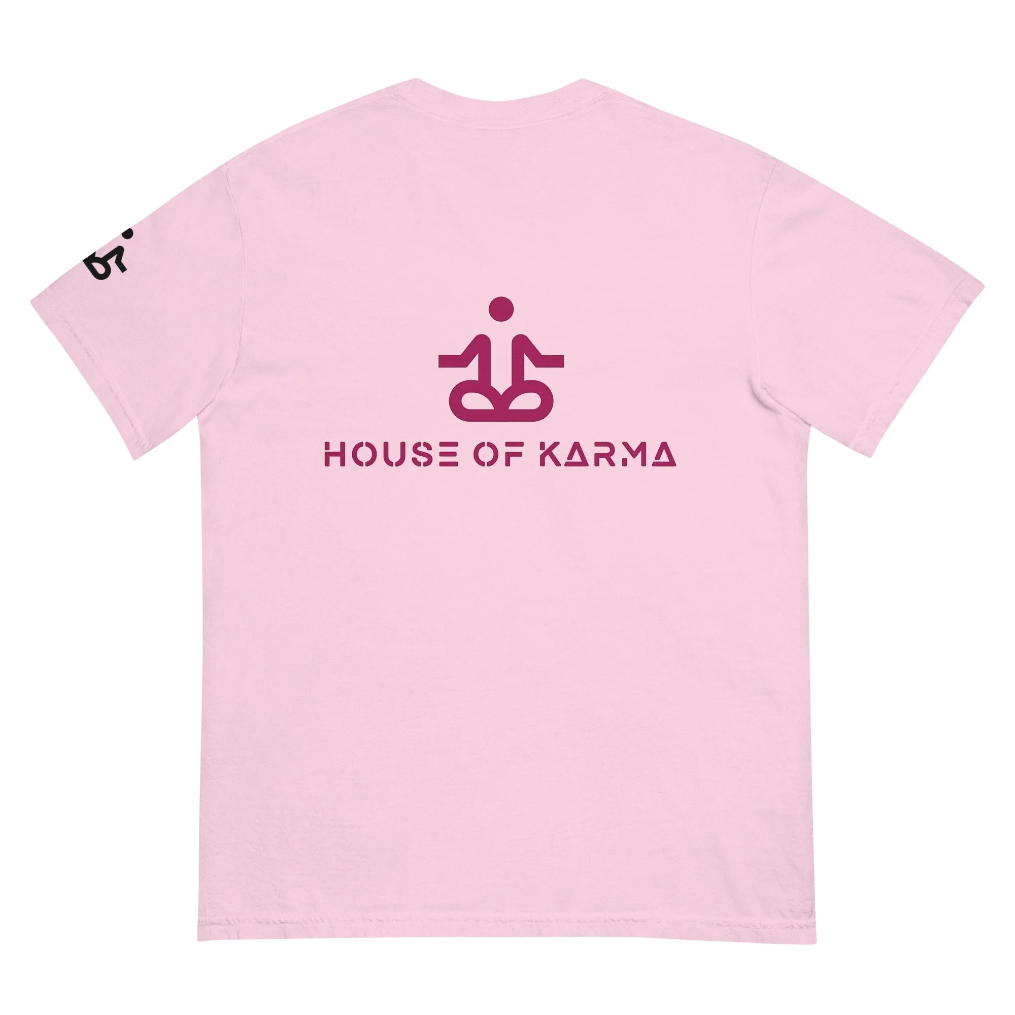 unisex-garment-dyed-heavyweight-t-shirt-orchid-back-6789dedbf3813.jpg