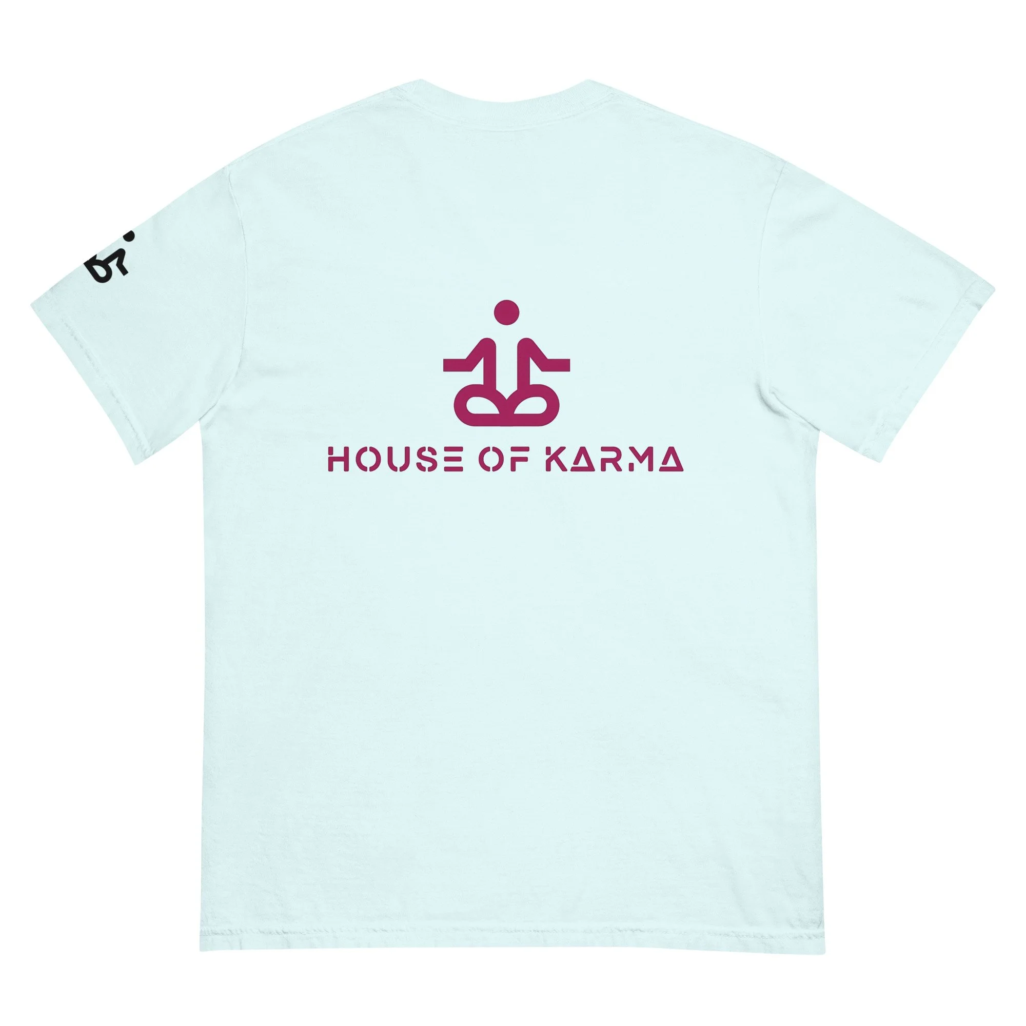 unisex-garment-dyed-heavyweight-t-shirt-chambray-back-6789dedc10a3d.jpg