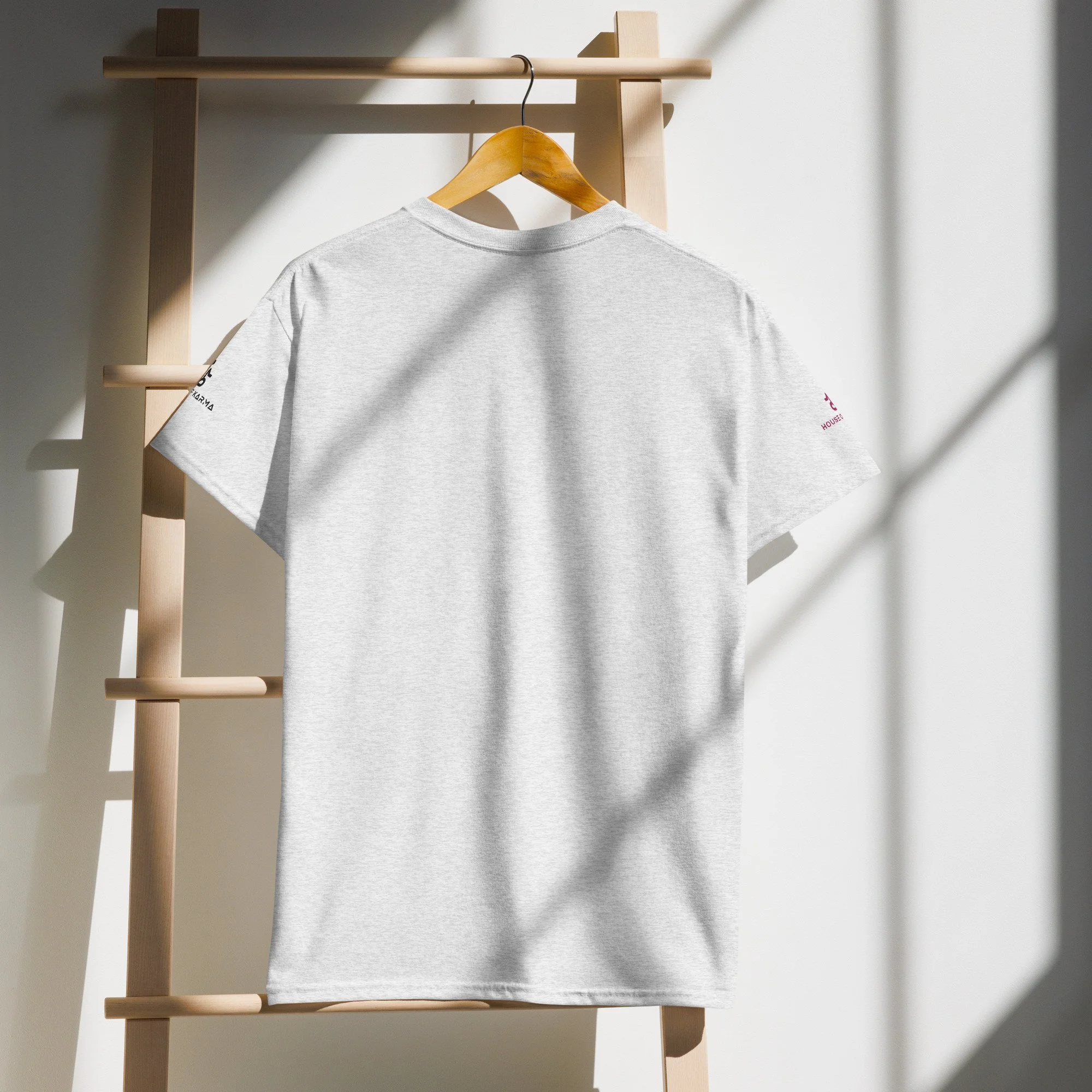 unisex-sports-tee-ash-back-6799e0aea89d1.jpg
