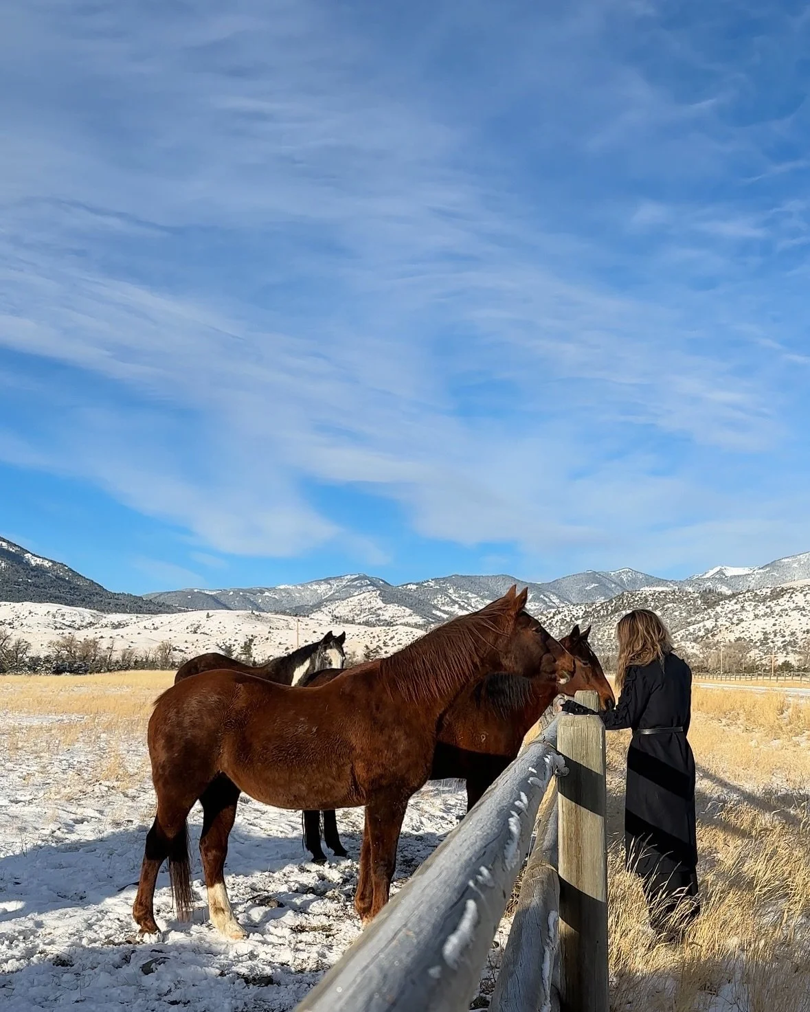 A little soul revival 🤎