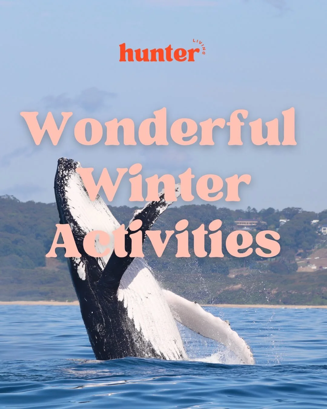 June has arrived to Newcastle &amp; surrounds which means the air is fresher &amp; winter&rsquo;s in full swing, 
From whale tours, to art, indoor play, movies &amp; wine by the fire..there&rsquo;s so much joy it can bring! 🐋❄️🍷 

#winterinnewcastl