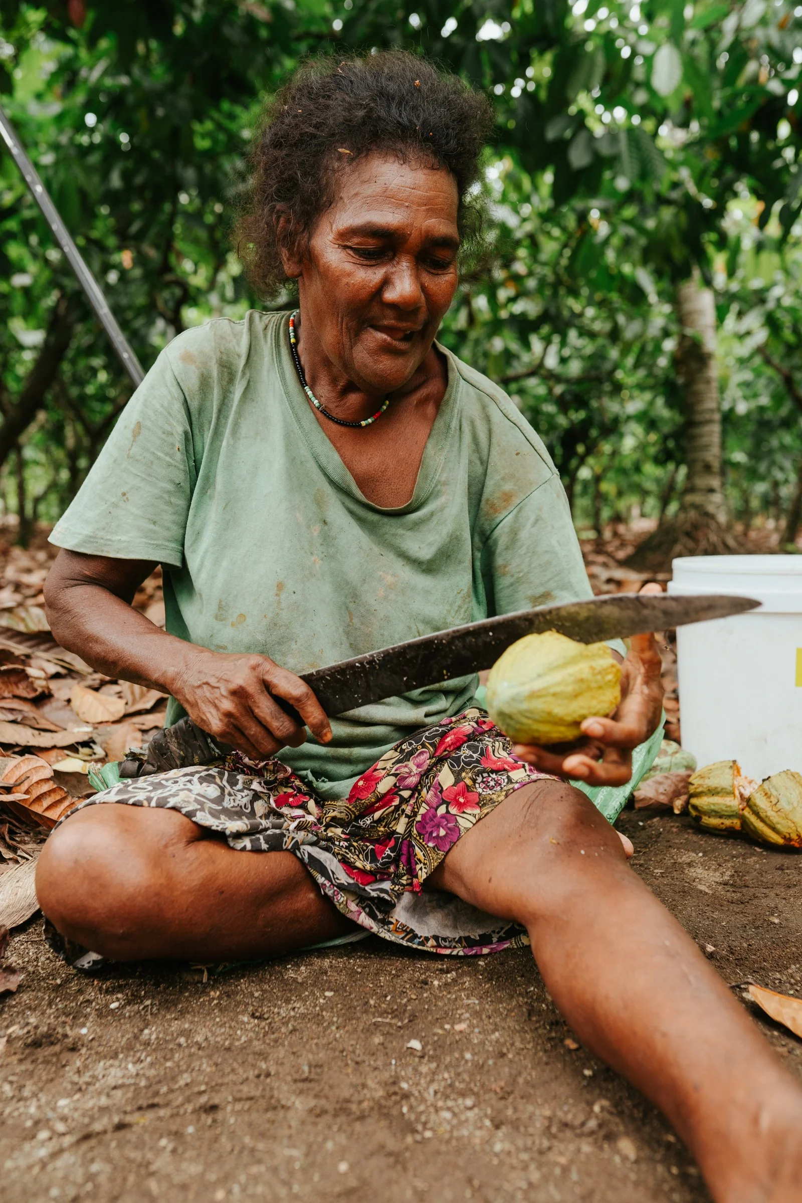Solomon Islands_Cacao_@manaakimedia-6442.jpg