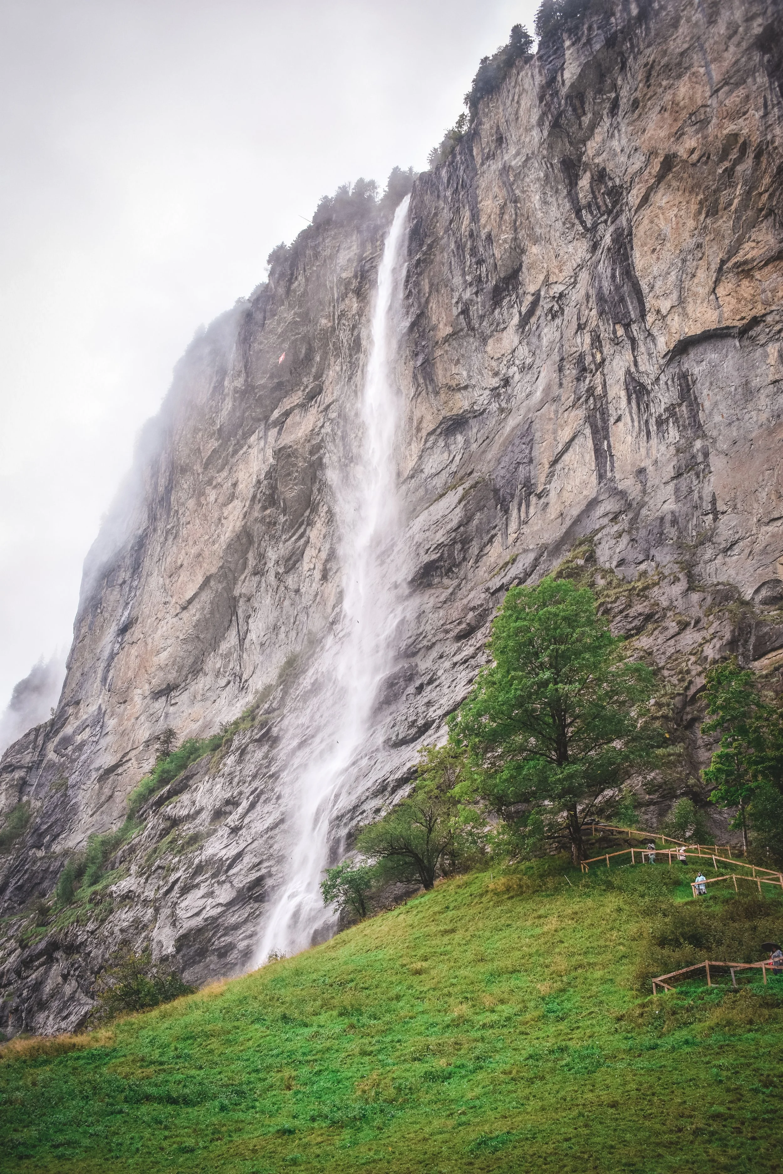 DSC_0635.jpg