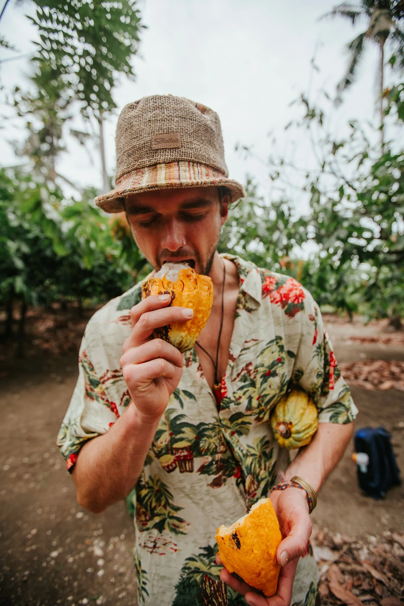 SolomonIslands_Cacao_@manaakimedia-6179.jpg