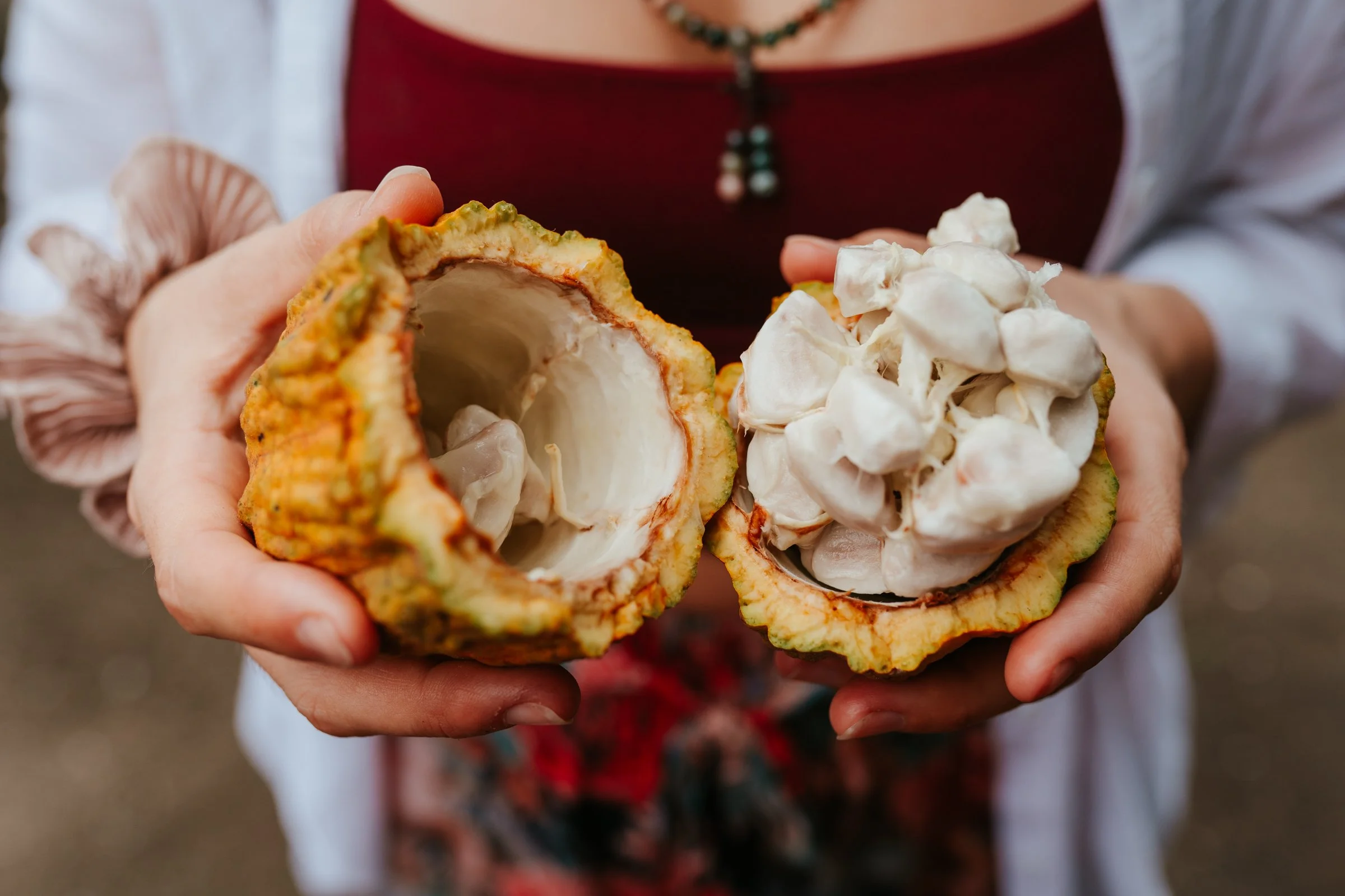Solomon Islands_Cacao_@manaakimedia-6086.jpg