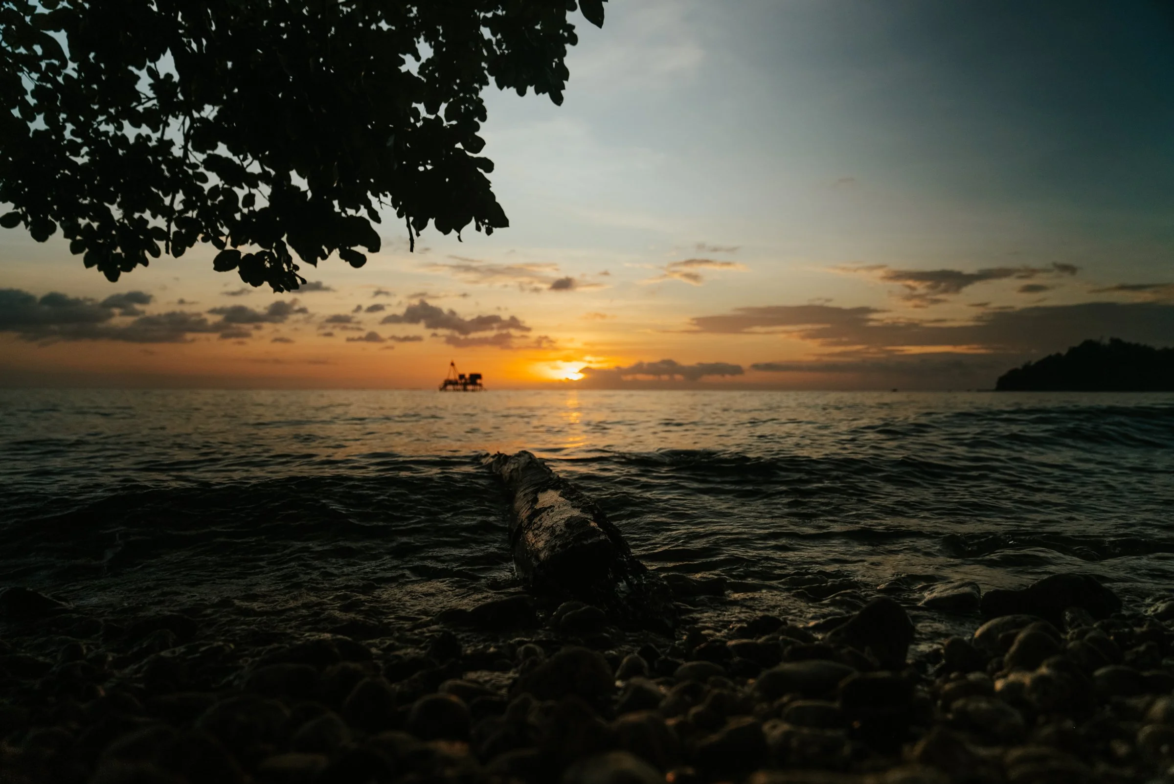 Solomon Islands_Cacao_@manaakimedia-01919.jpg