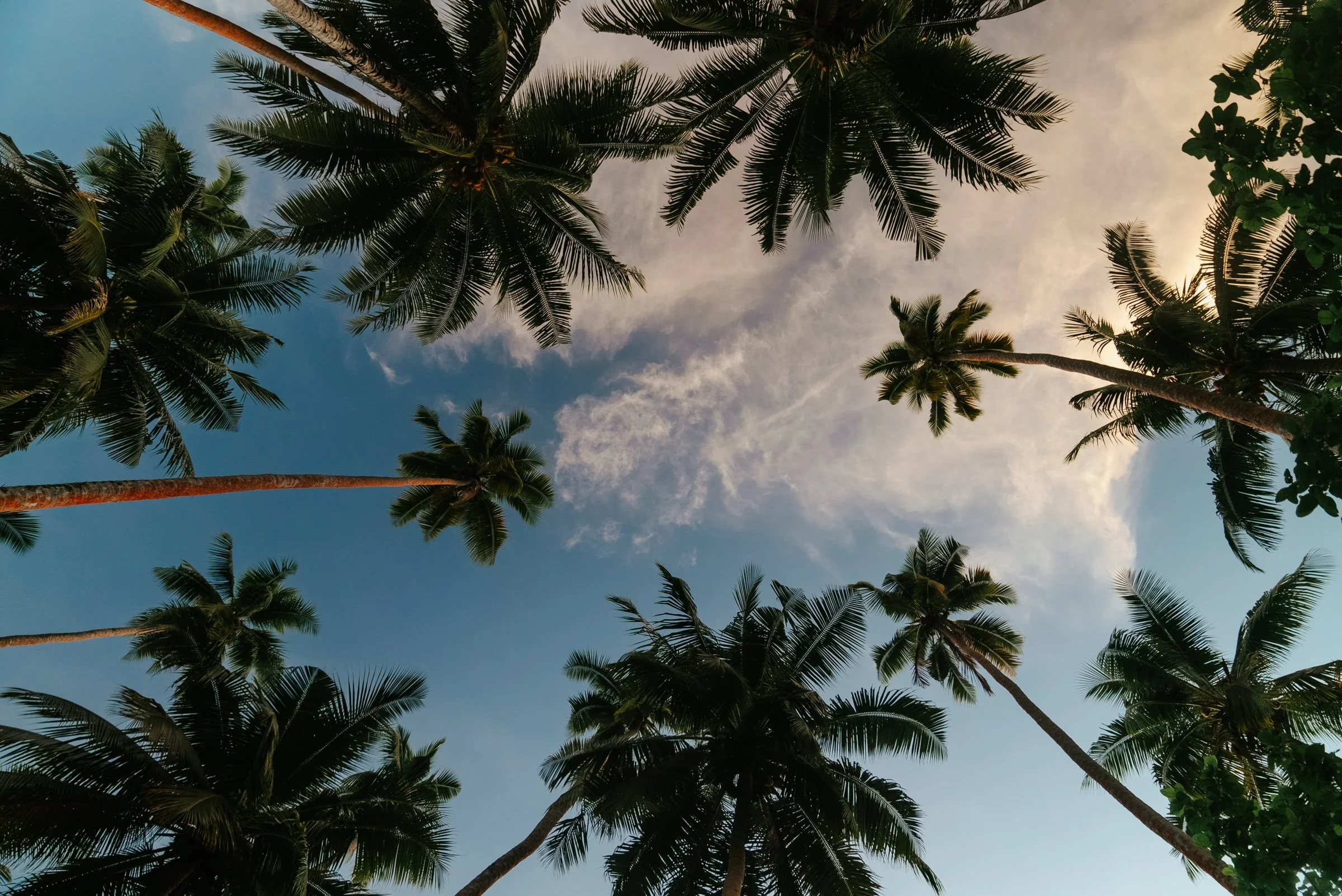Solomon Islands_Cacao_@manaakimedia-01930.jpg