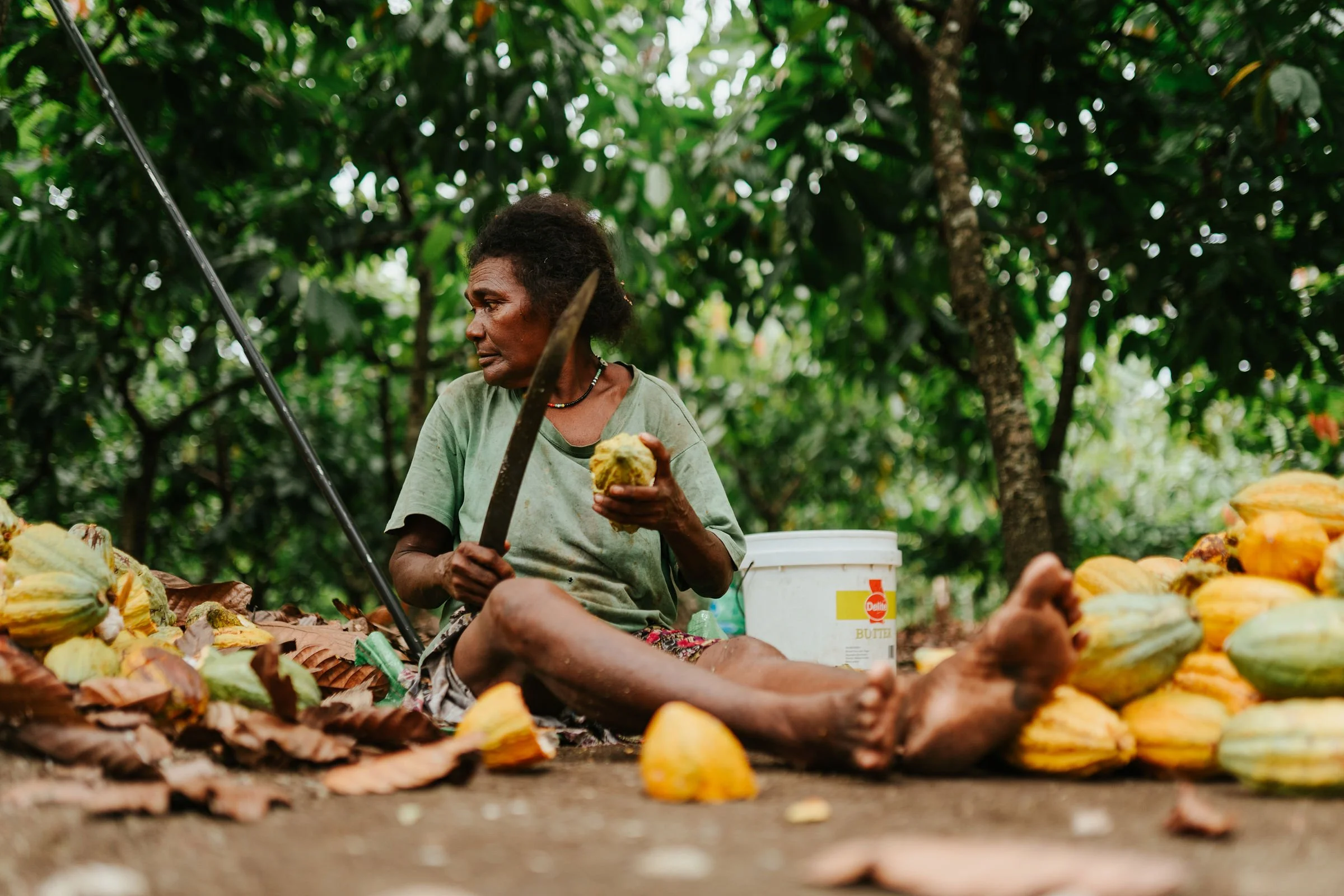 SolomonIslands_Cacao_@manaakimedia-6485.jpg
