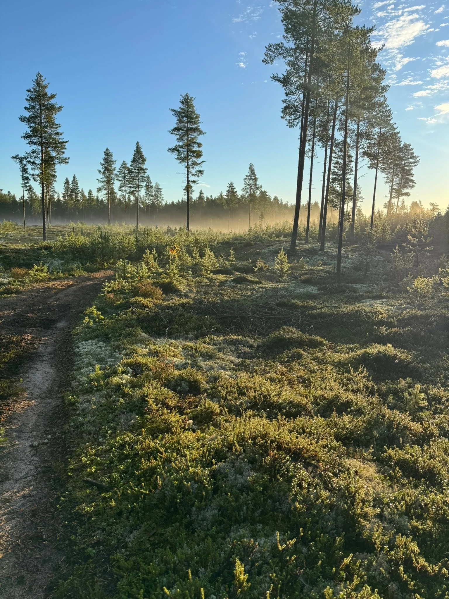 Kaunista syksy&auml; kaikille
