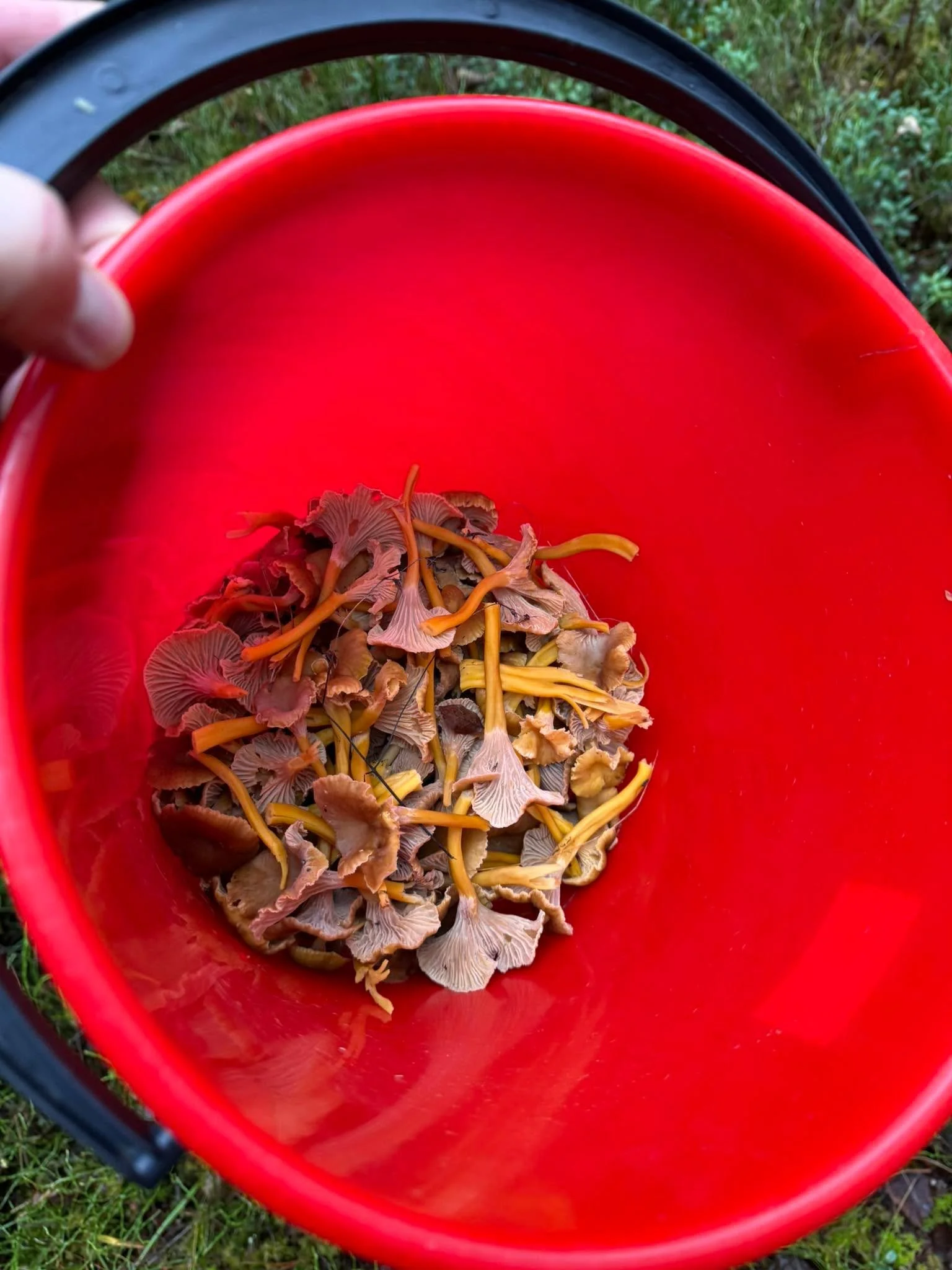 Ei muuta kuin ker&auml;&auml; pois